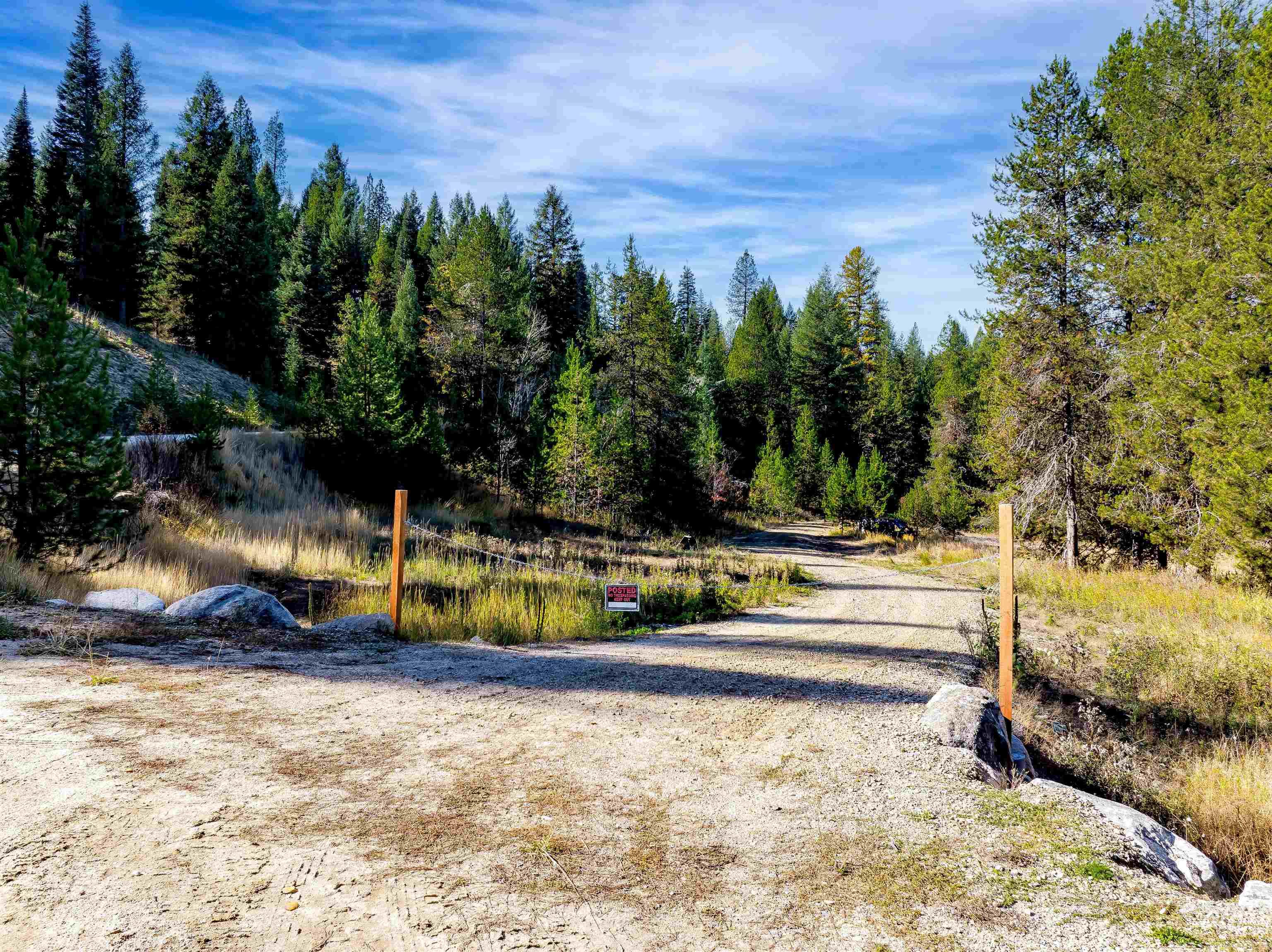 View of dirt / gravel road featuring a view of trees
