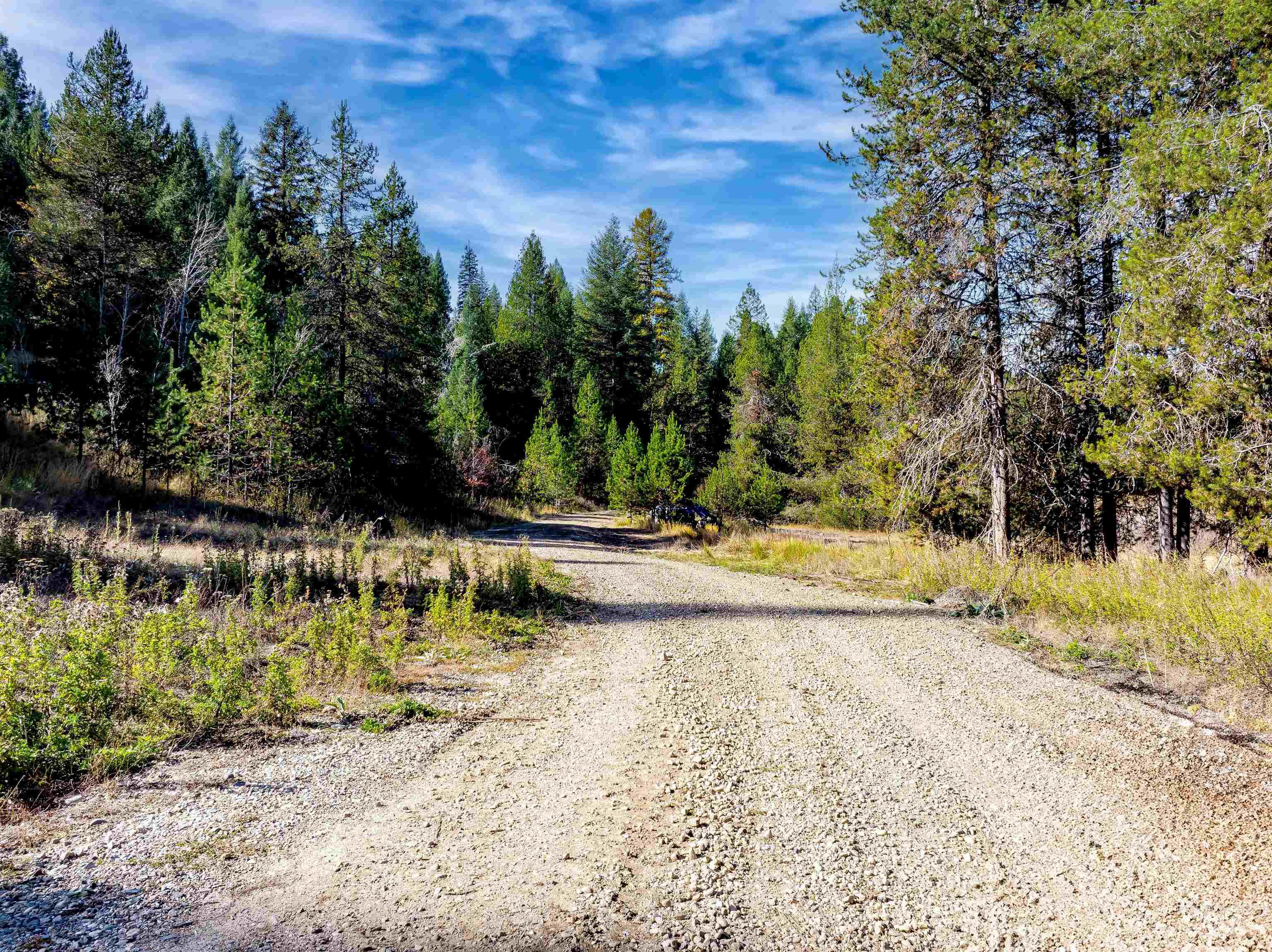 View of dirt / gravel road