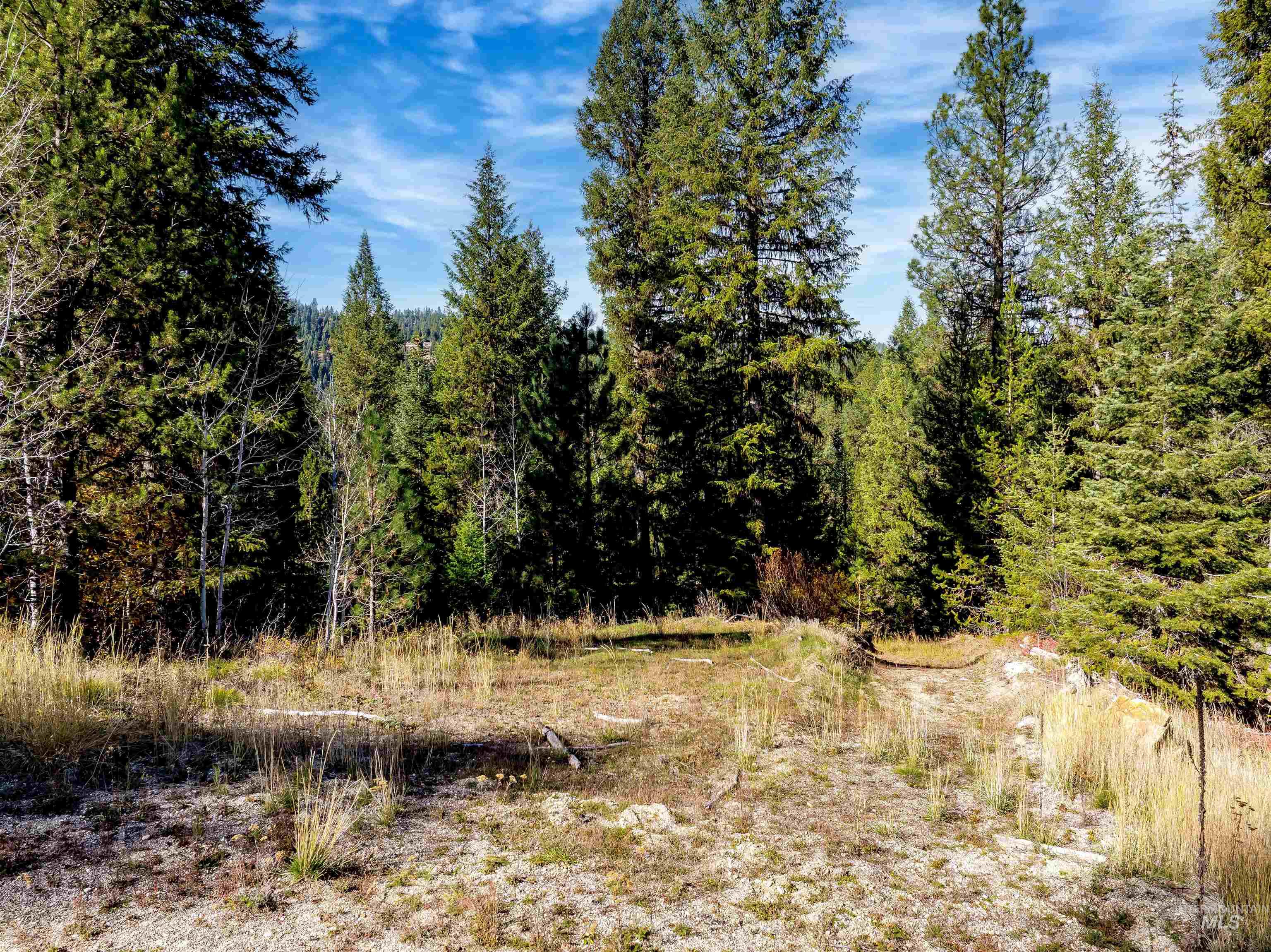 View of wooded area
