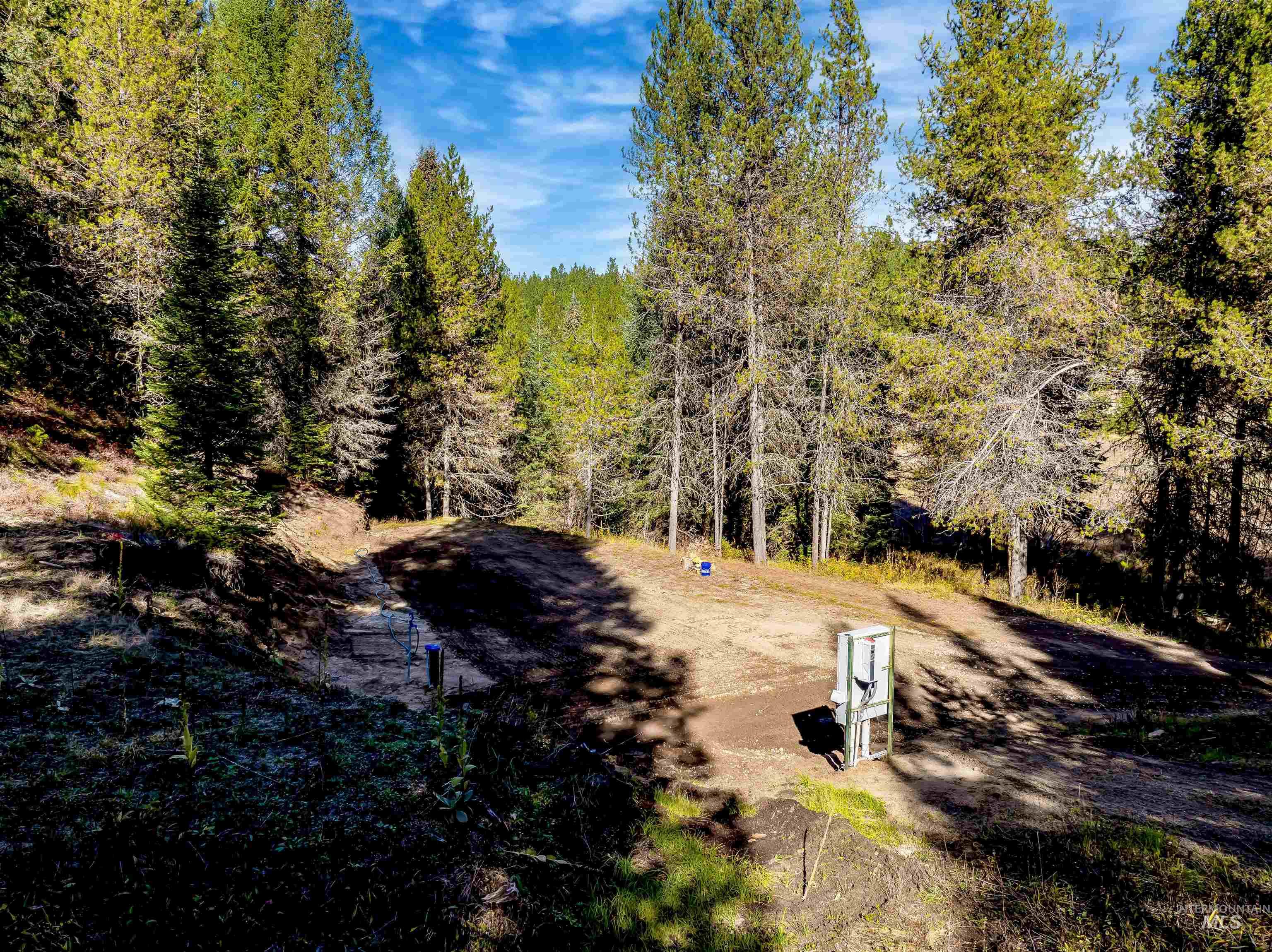 View of yard with a view of trees
