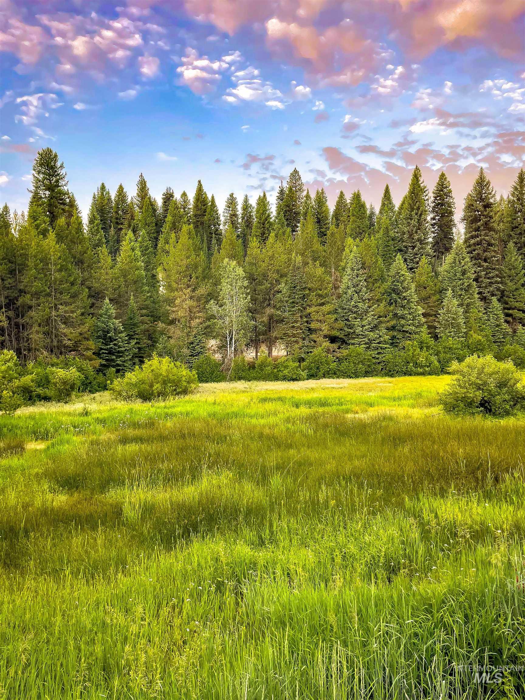 View of yard with a view of trees