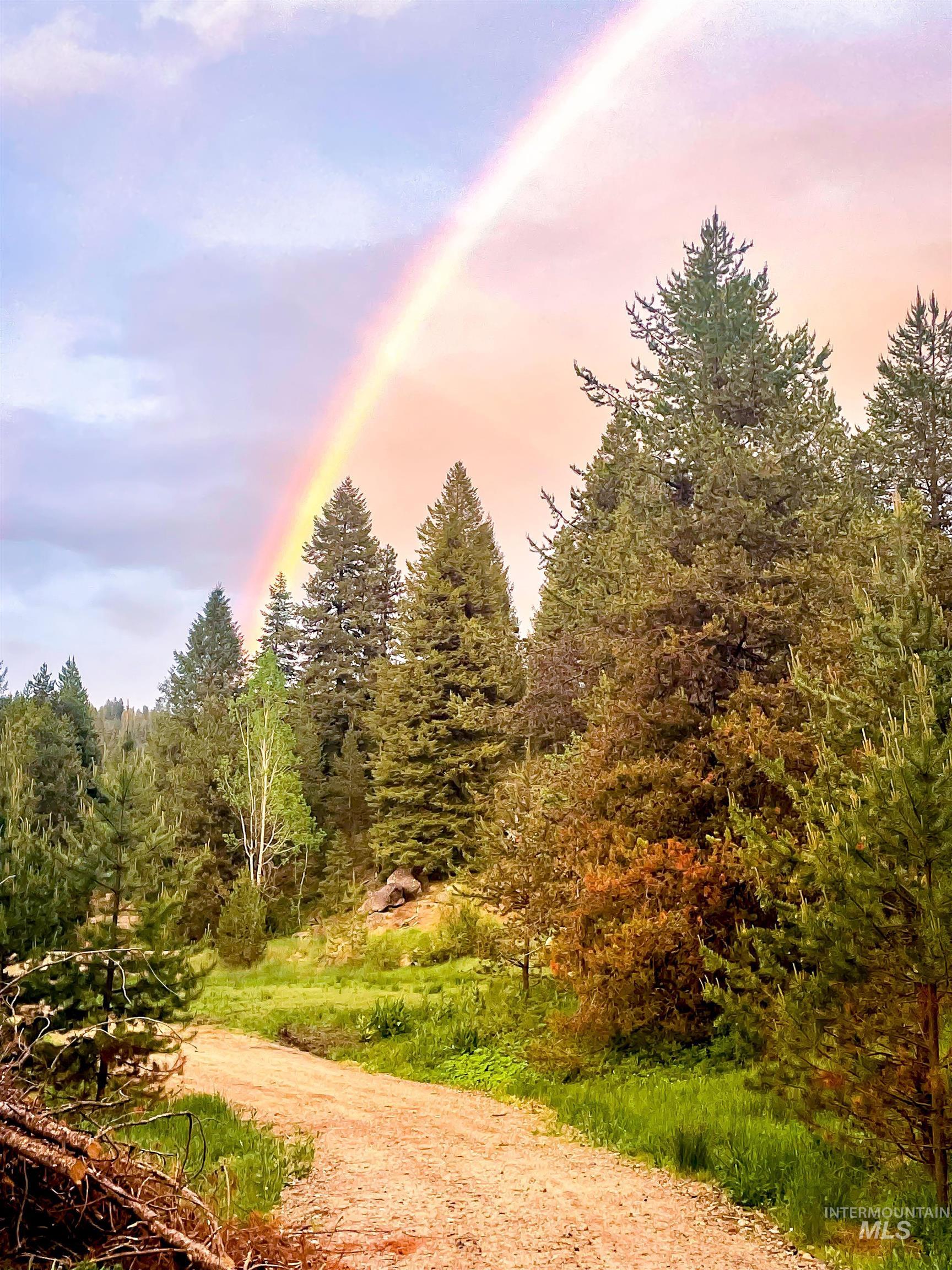 Surrounding community with a view of trees