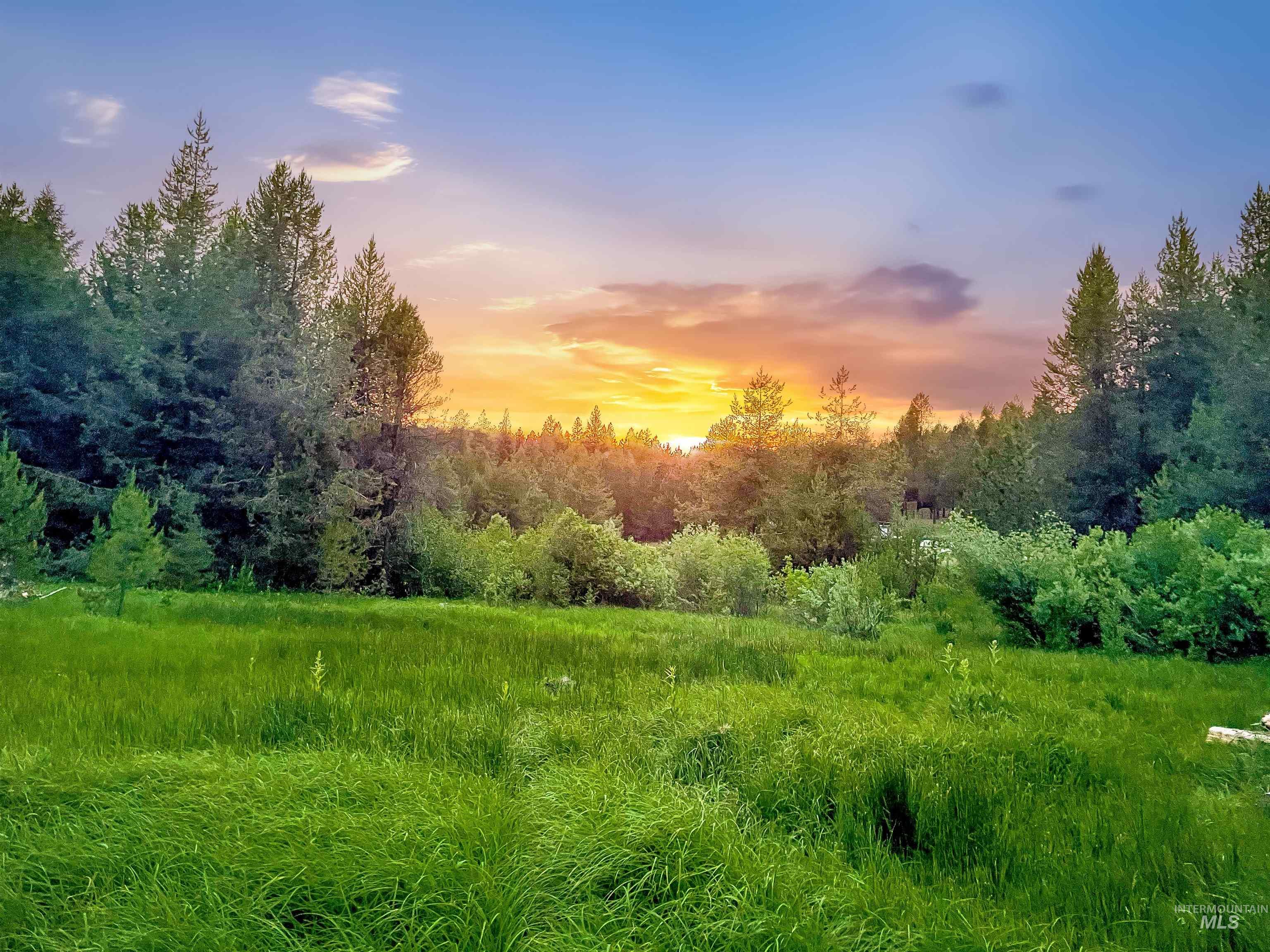 Nature at dusk featuring a forest view