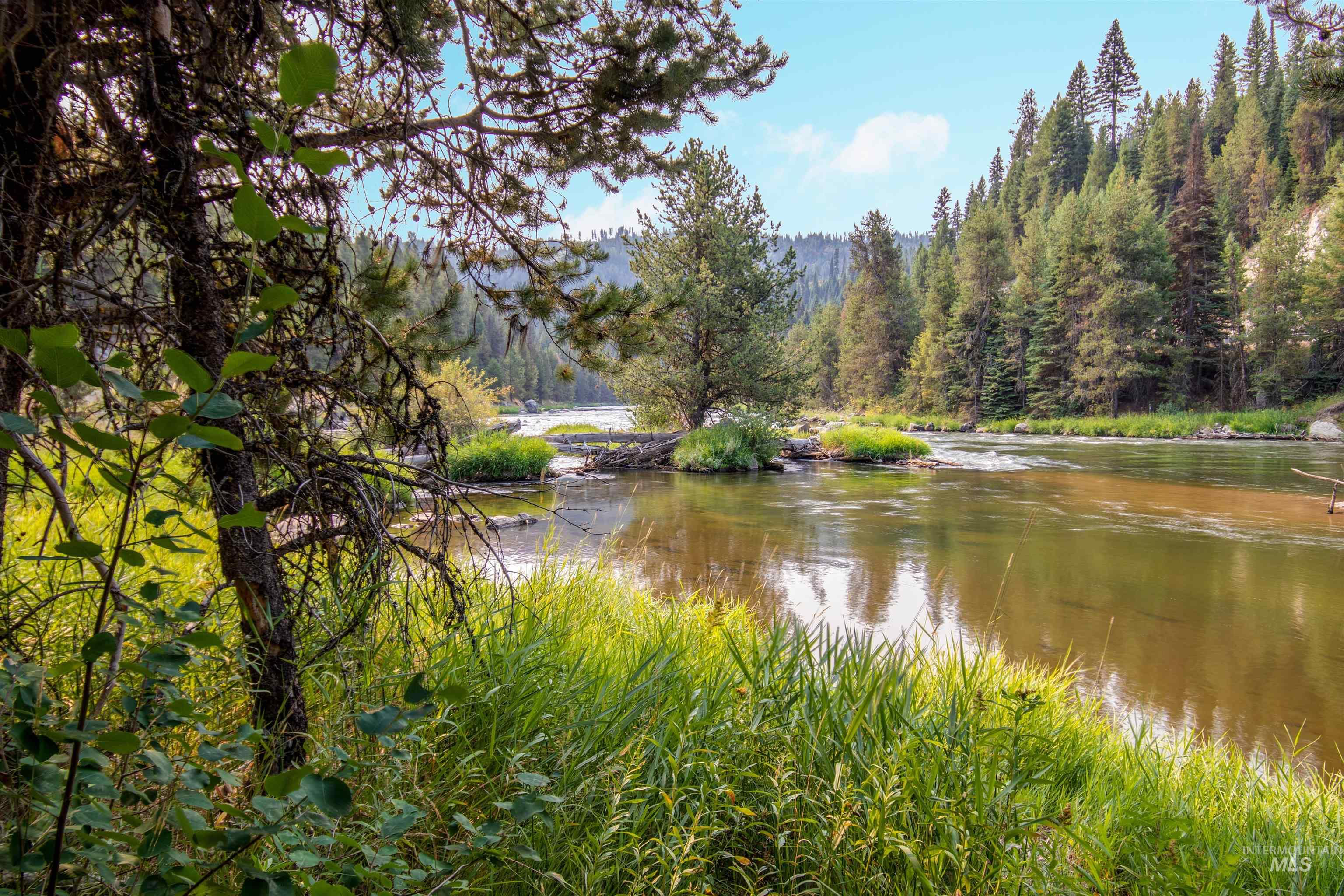 Water view featuring a heavily wooded area
