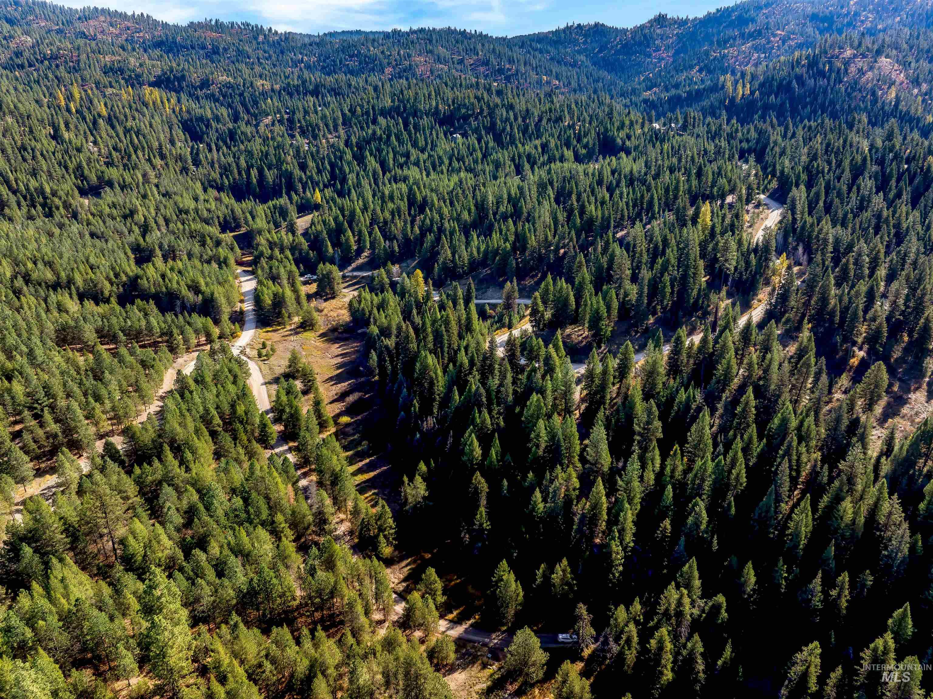 Drone / aerial view of a heavily wooded area