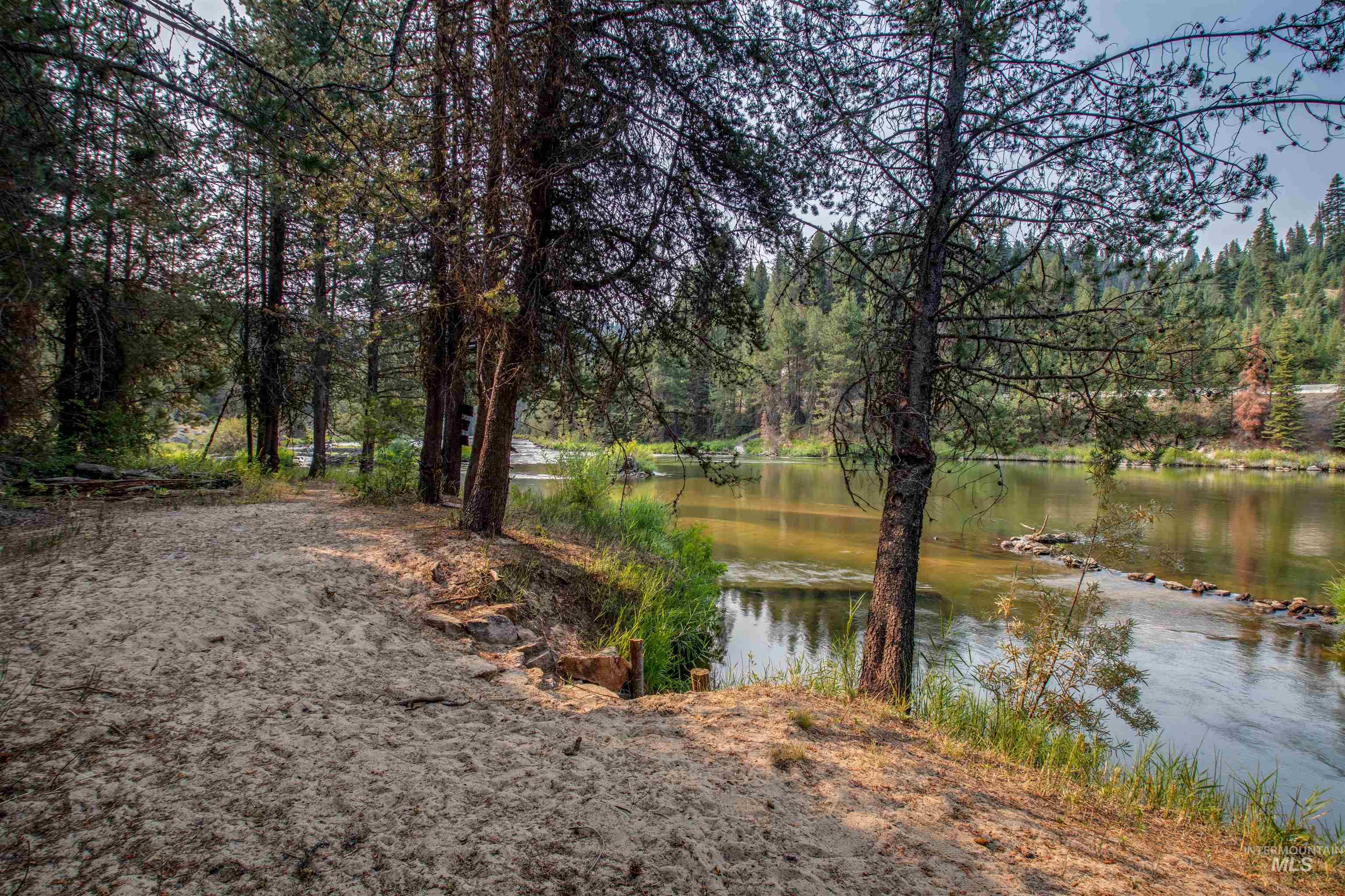 Water view featuring a forest
