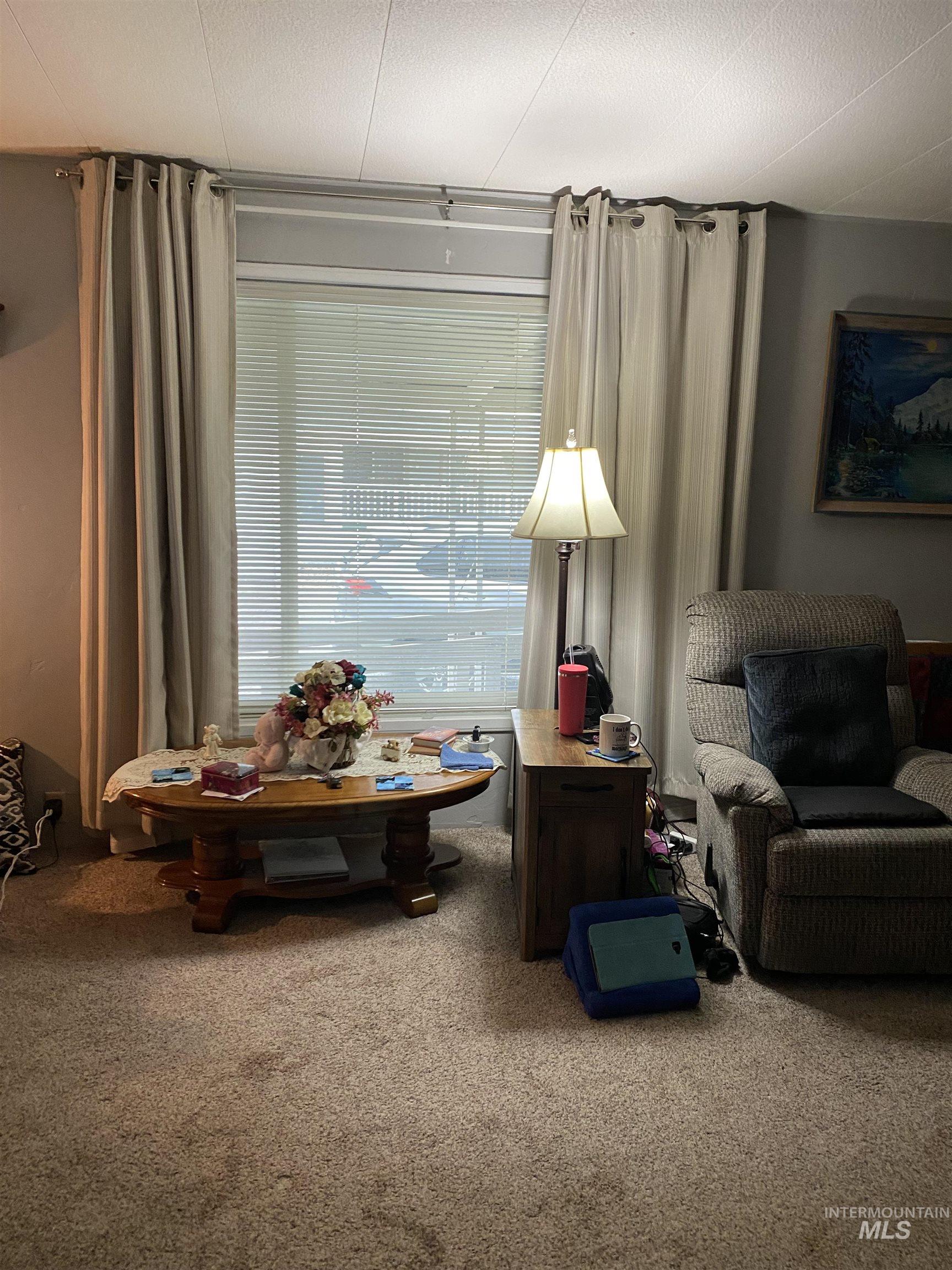 Living area with carpet
