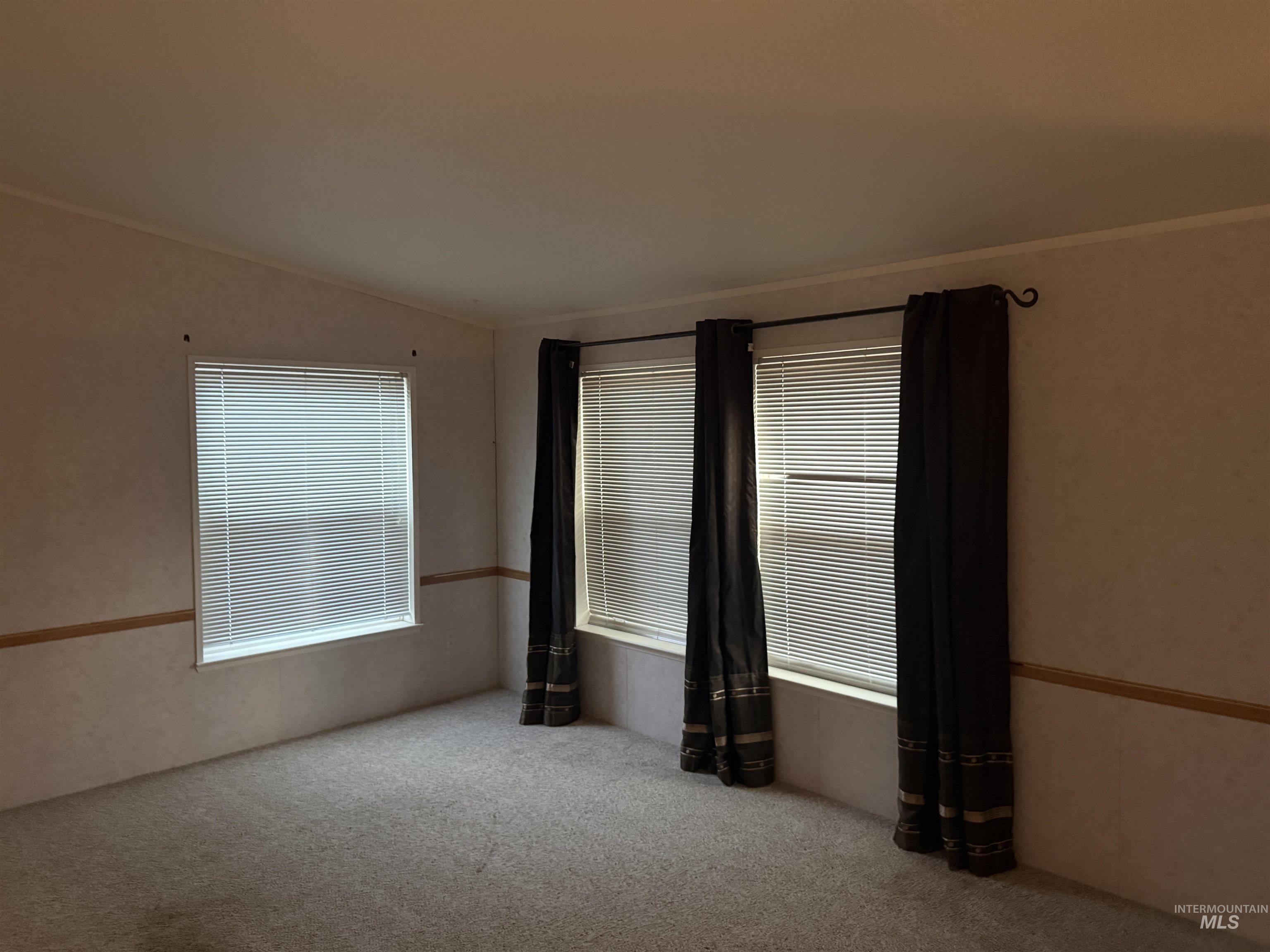 Unfurnished room with plenty of natural light, carpet floors, and ornamental molding