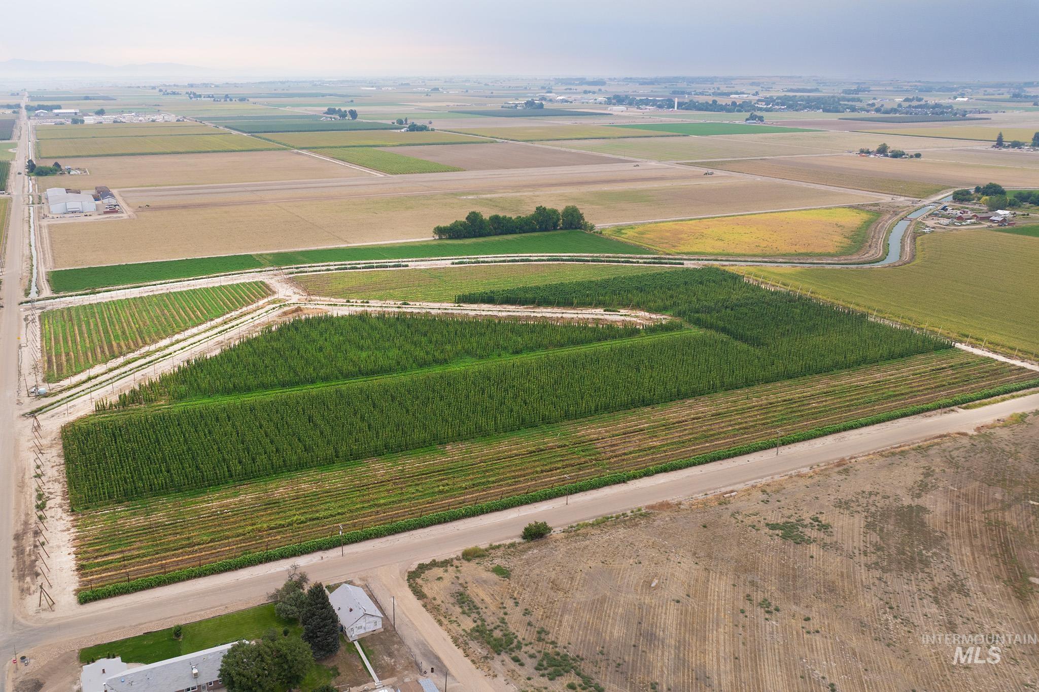 Overview of rural landscape featuring rows of crops