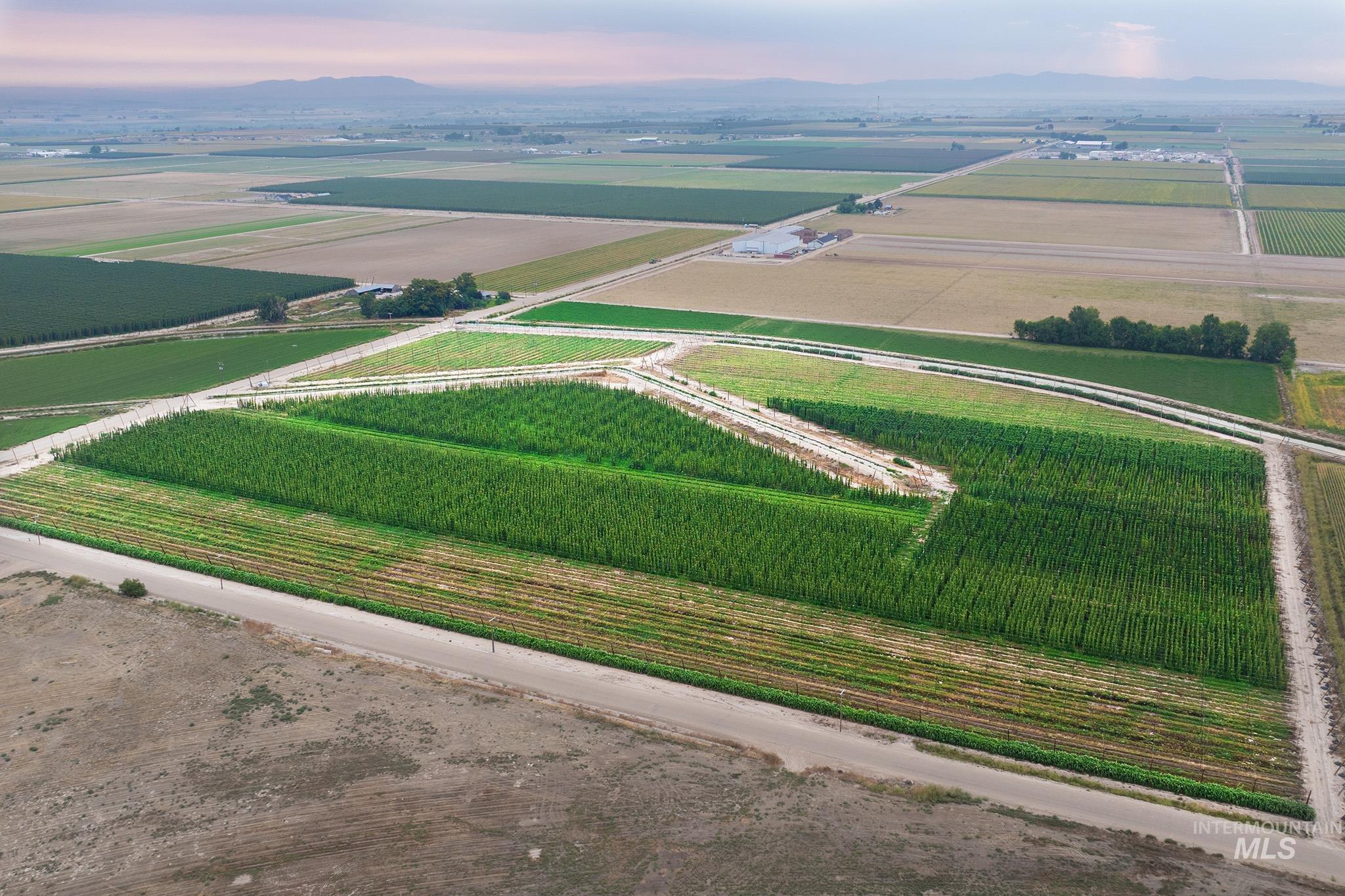 Aerial view of sparsely populated area featuring large plots for crops and mountains