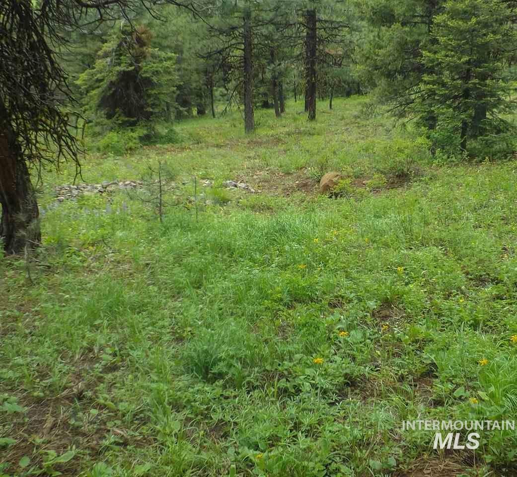 View of undeveloped land