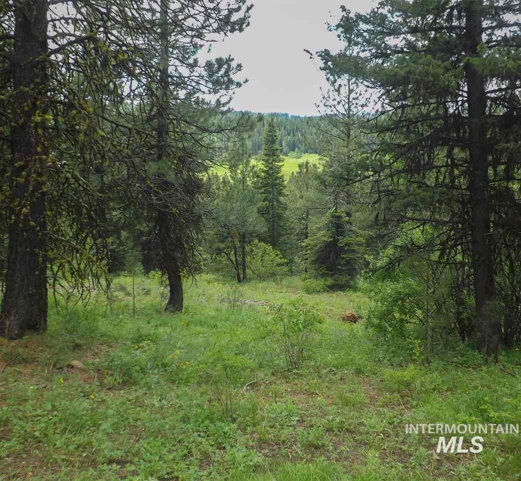 View of woods