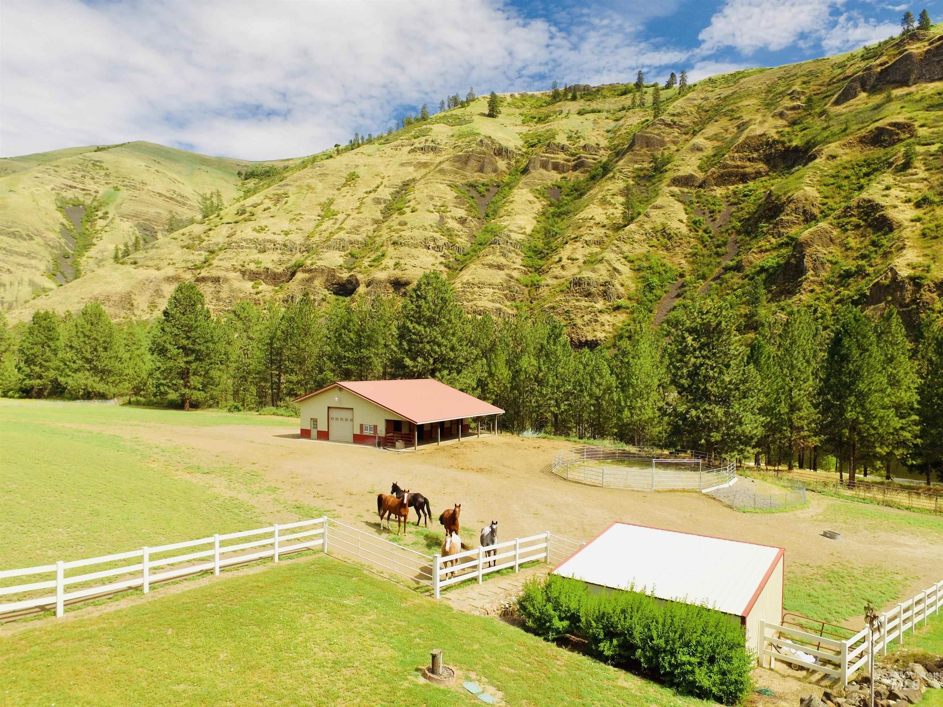 24500 Arrow Highline, Juliaetta, Idaho 83535, 3 Bedrooms, 2 Bathrooms, Residential For Sale, Price $895,000, 98964813