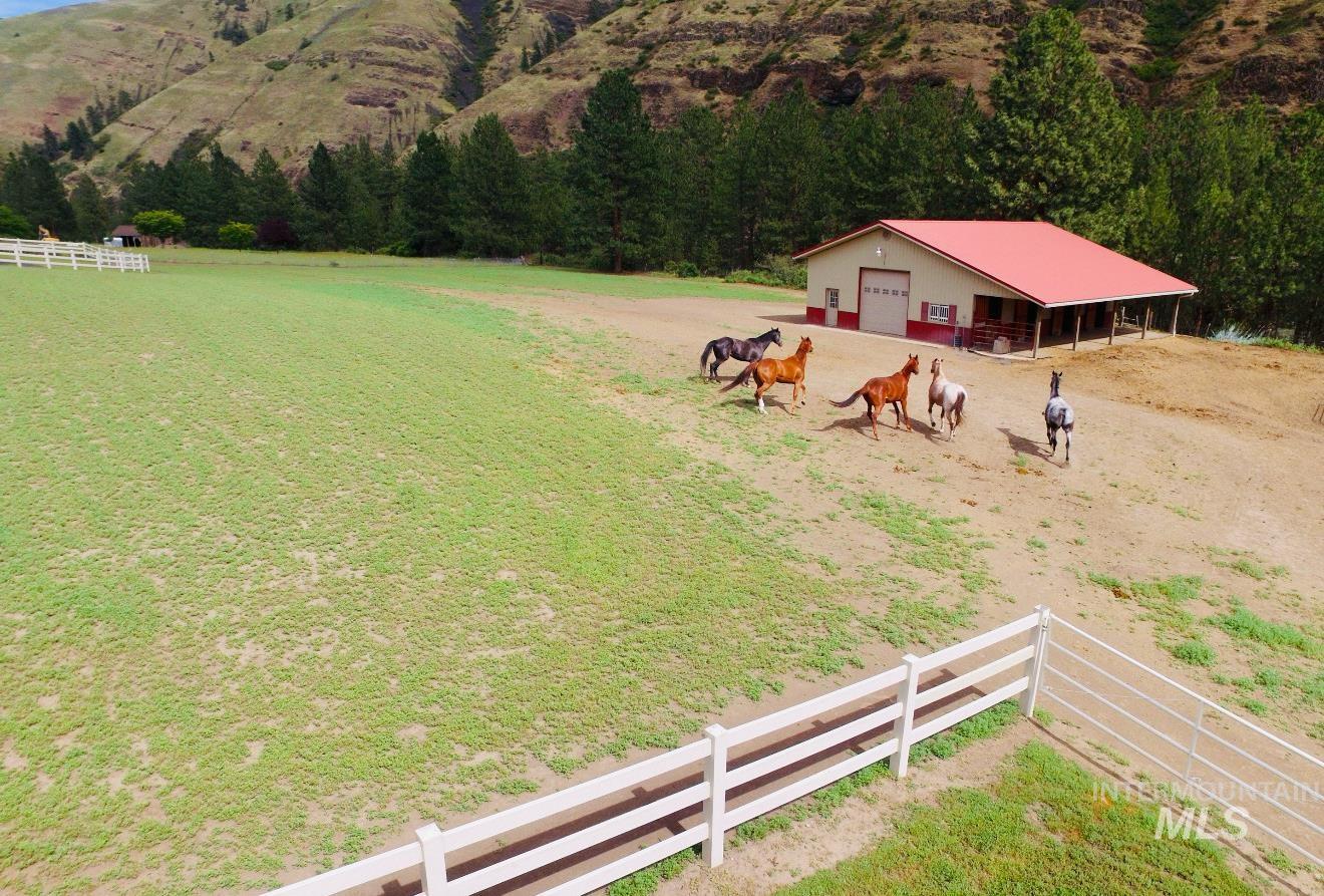 24500 Arrow Highline, Juliaetta, Idaho 83535, 3 Bedrooms, 2 Bathrooms, Residential For Sale, Price $895,000, 98964813