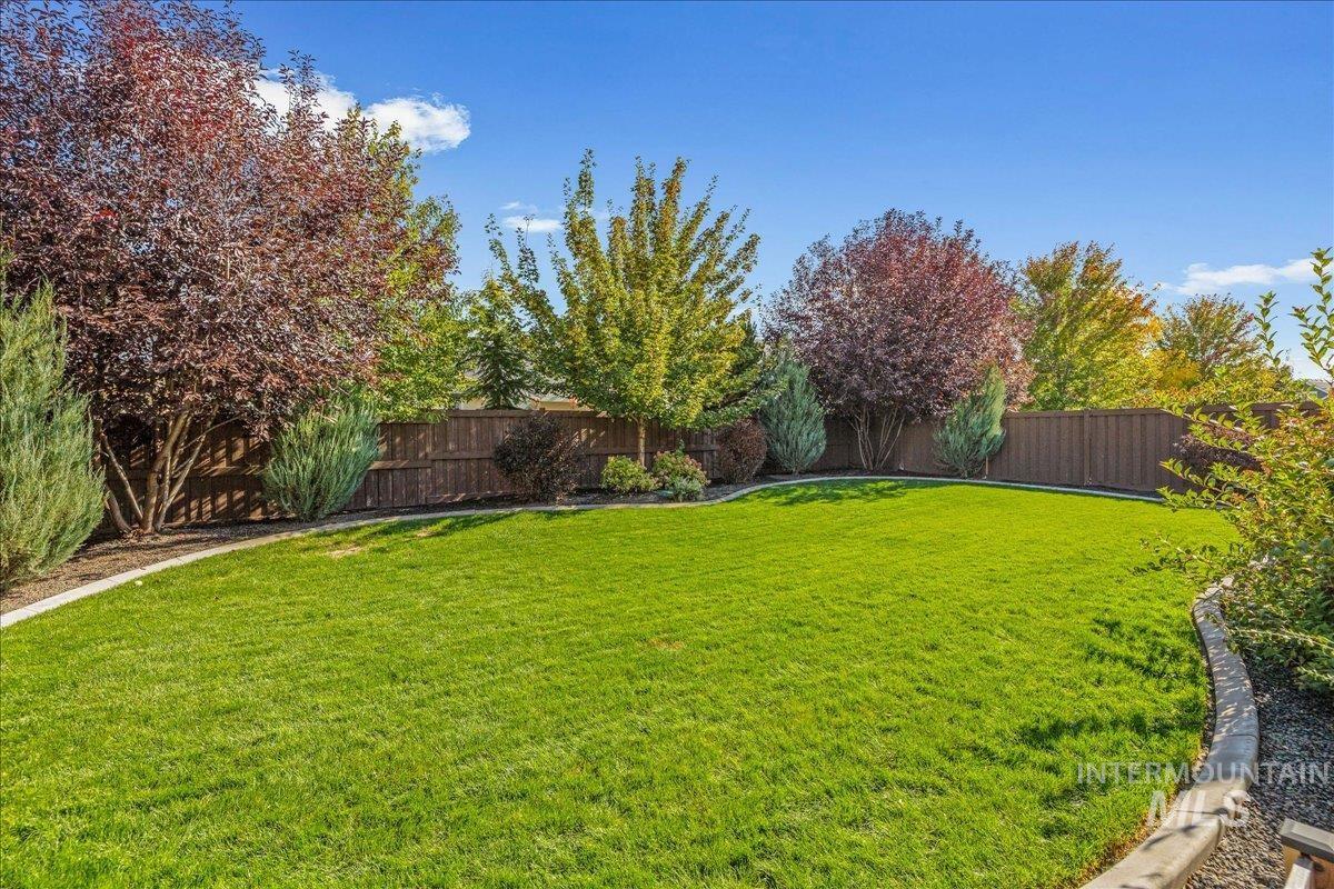 View of fenced backyard