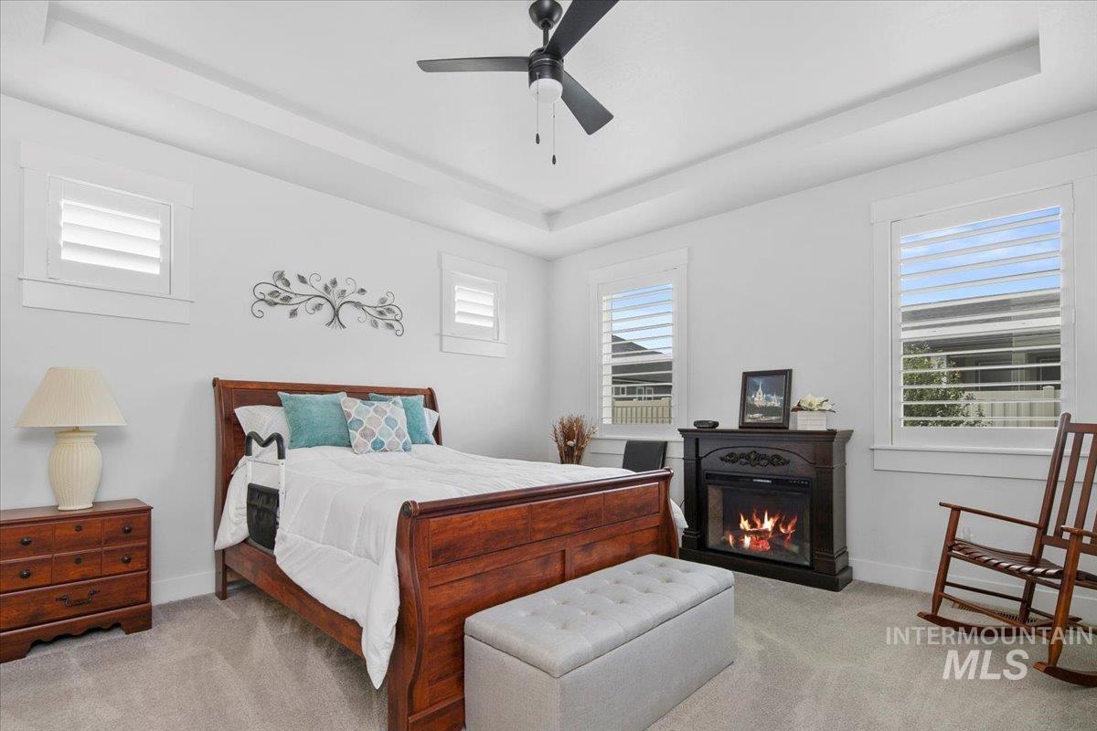 Bedroom featuring a raised ceiling, carpet, and a ceiling fan