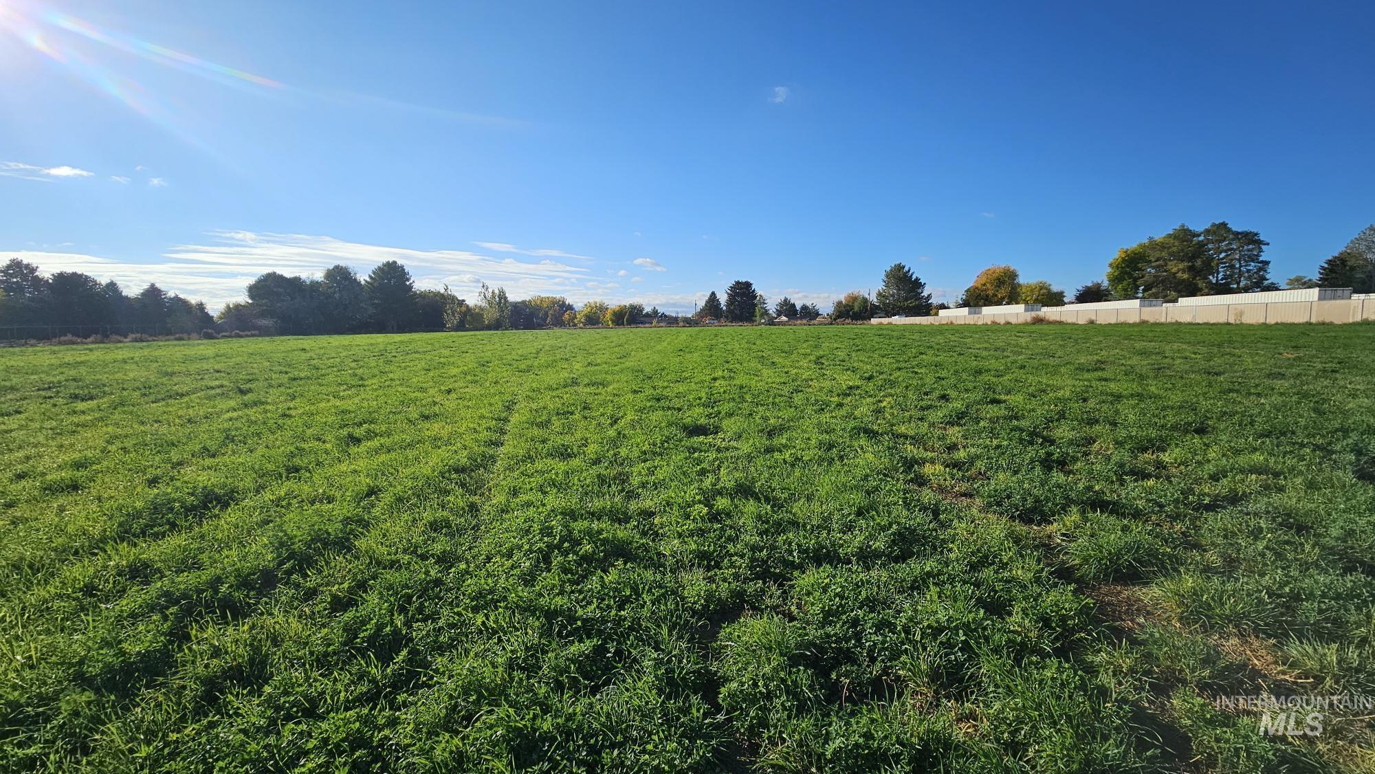 View of grassy yard with a view of rural / pastoral area