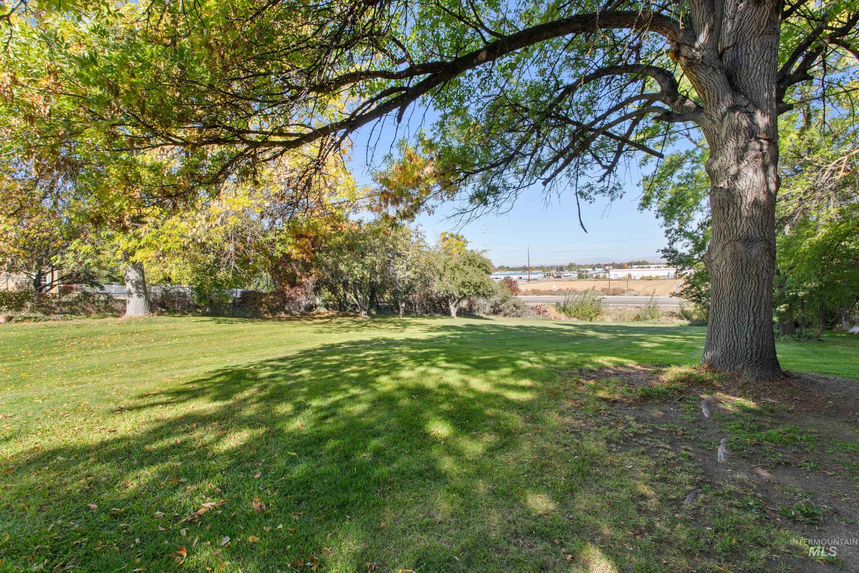 View of green lawn