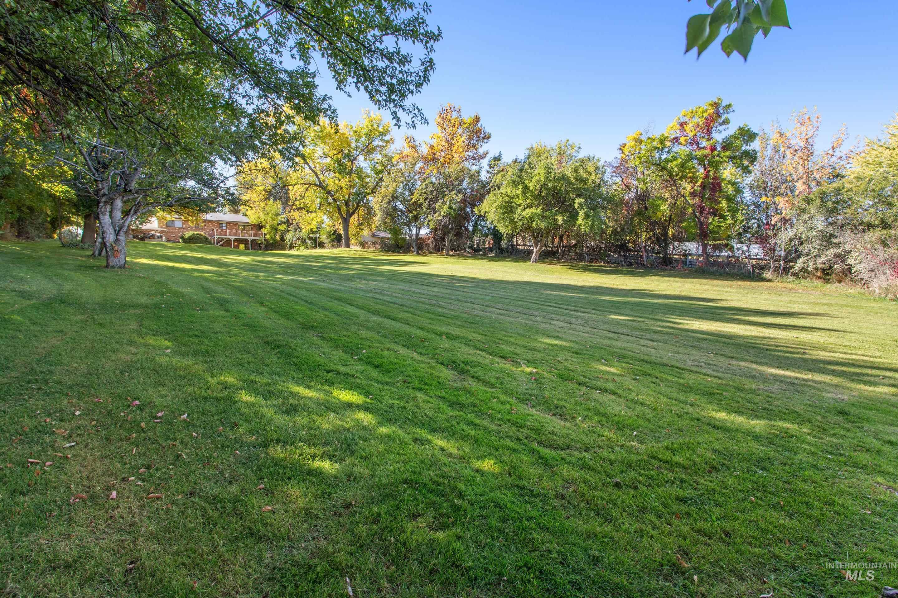 View of grassy yard