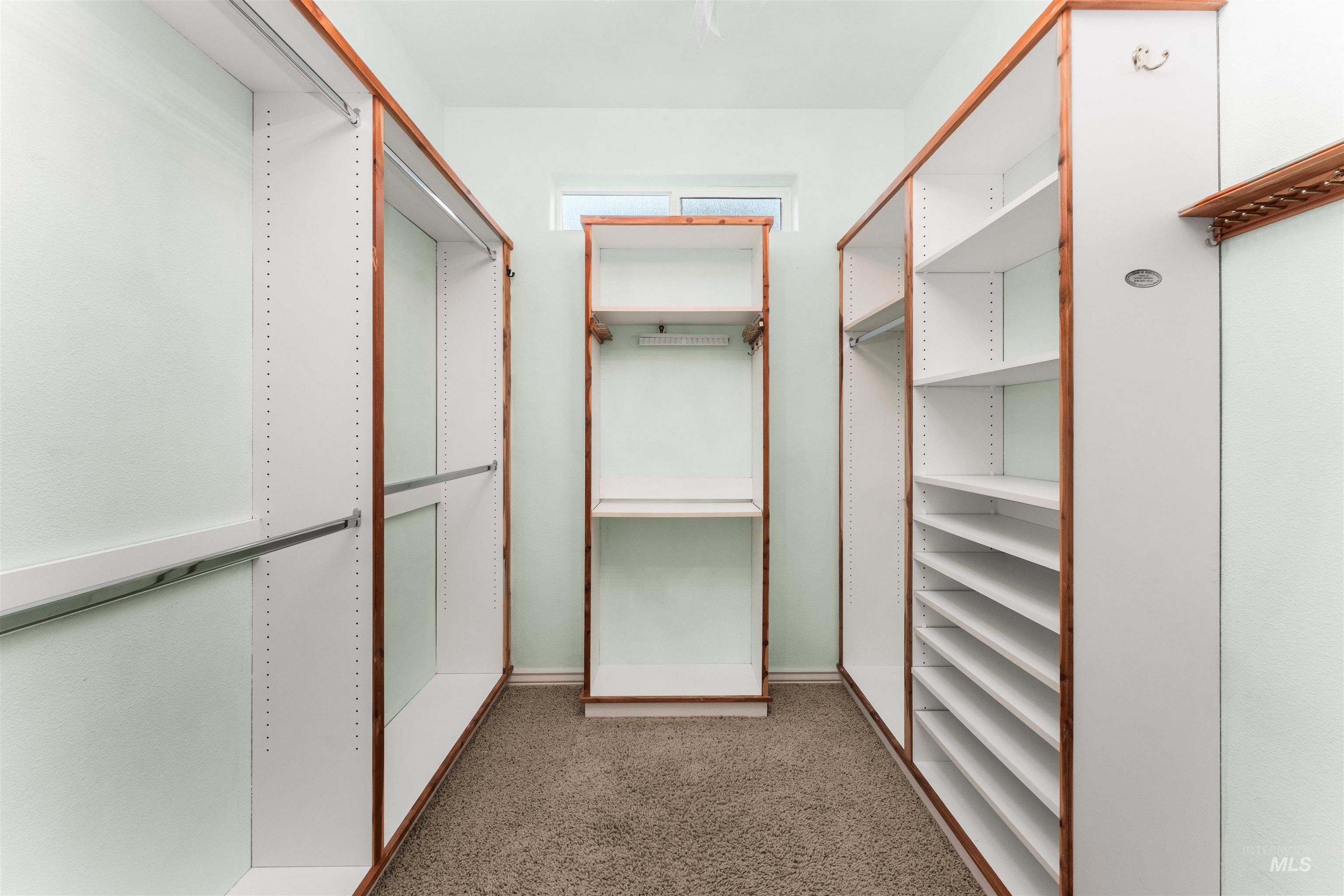 Walk in closet featuring carpet flooring