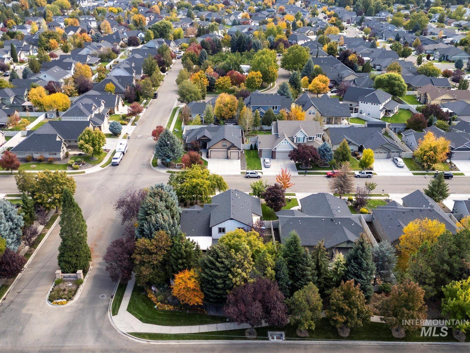 Bird's eye view