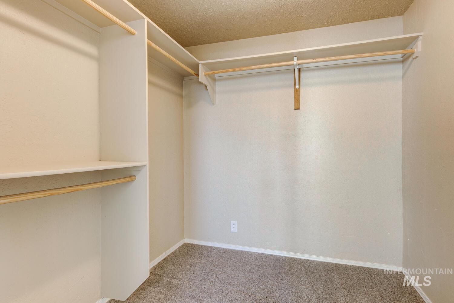 Spacious closet featuring carpet