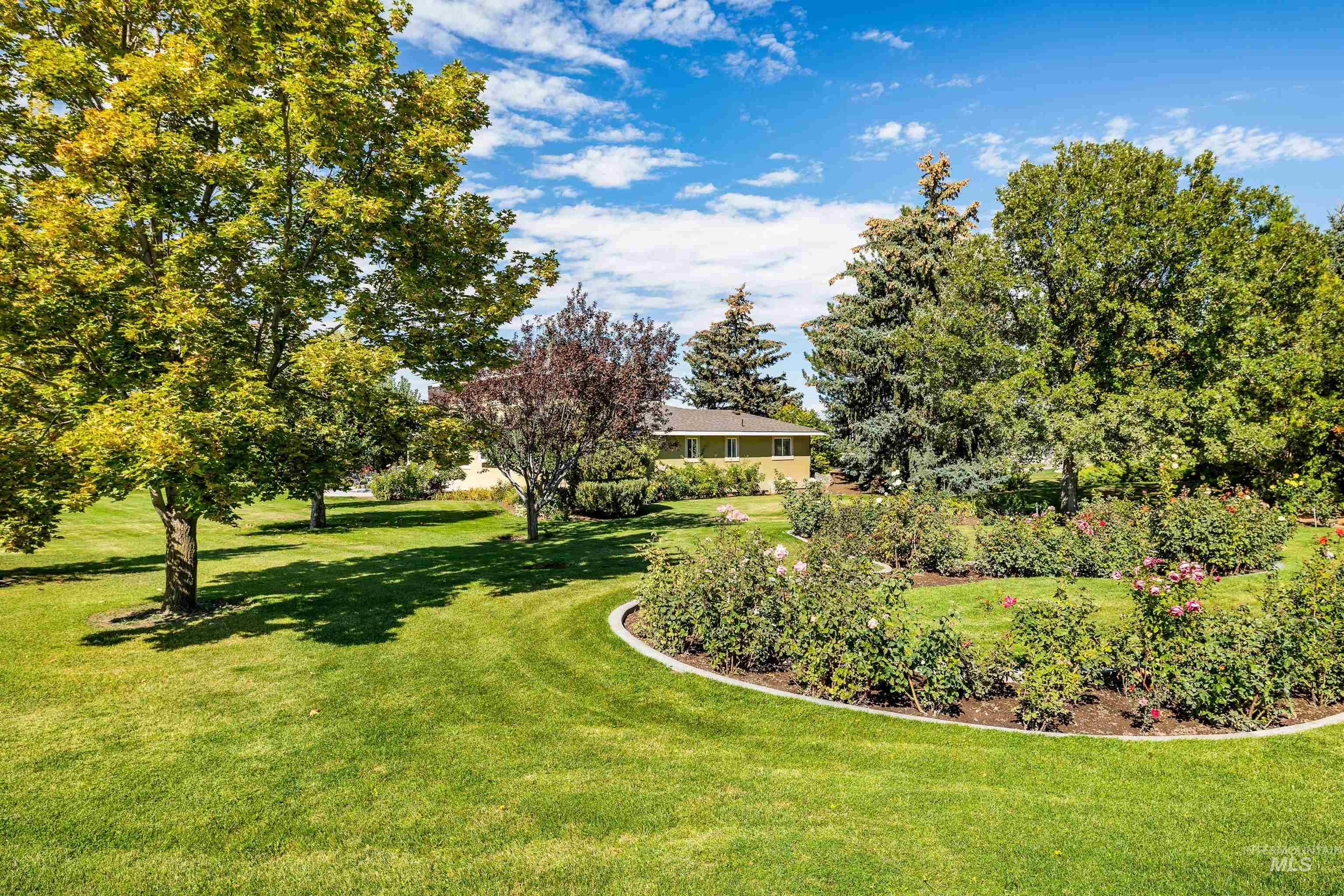 View of grassy yard