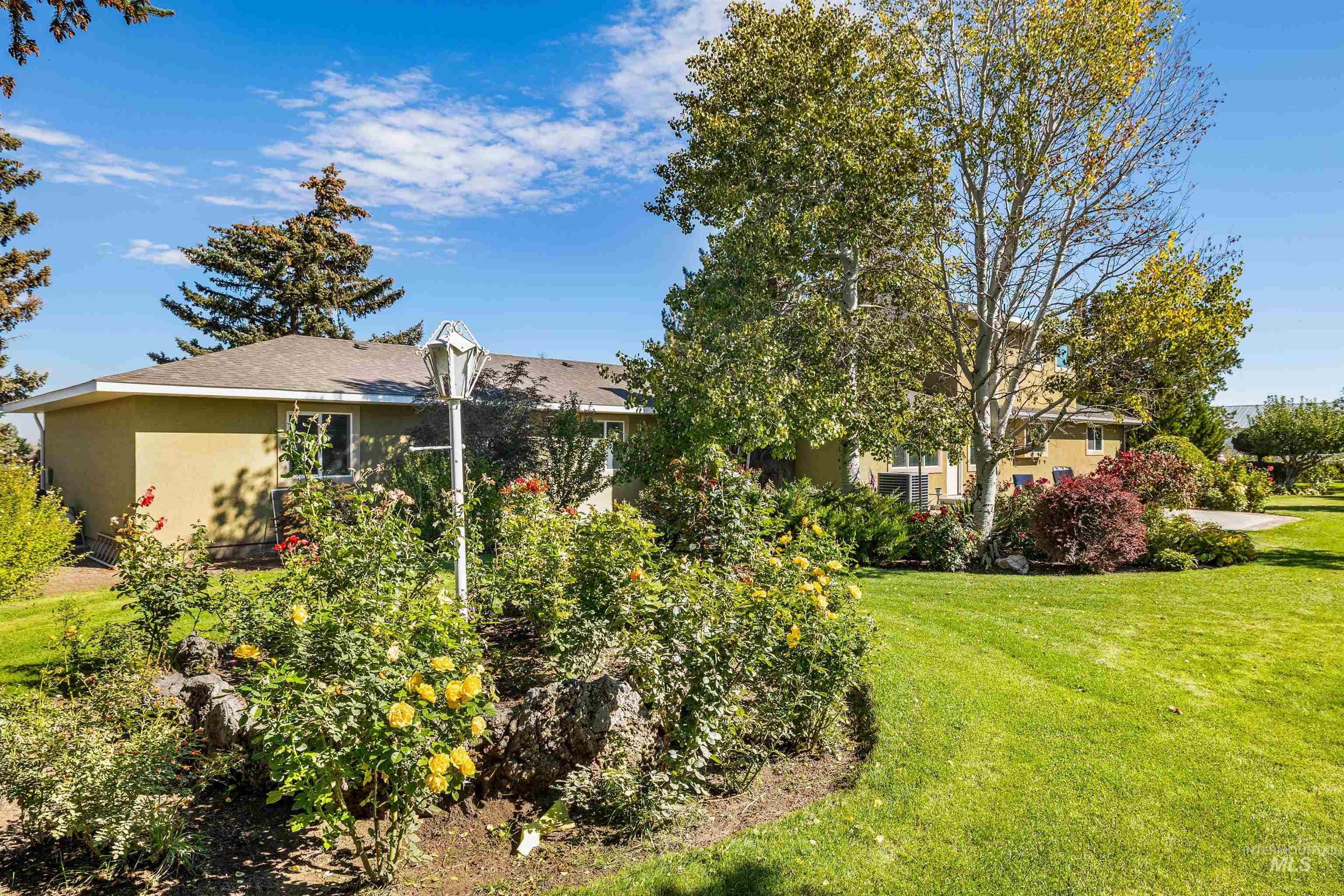View of grassy yard