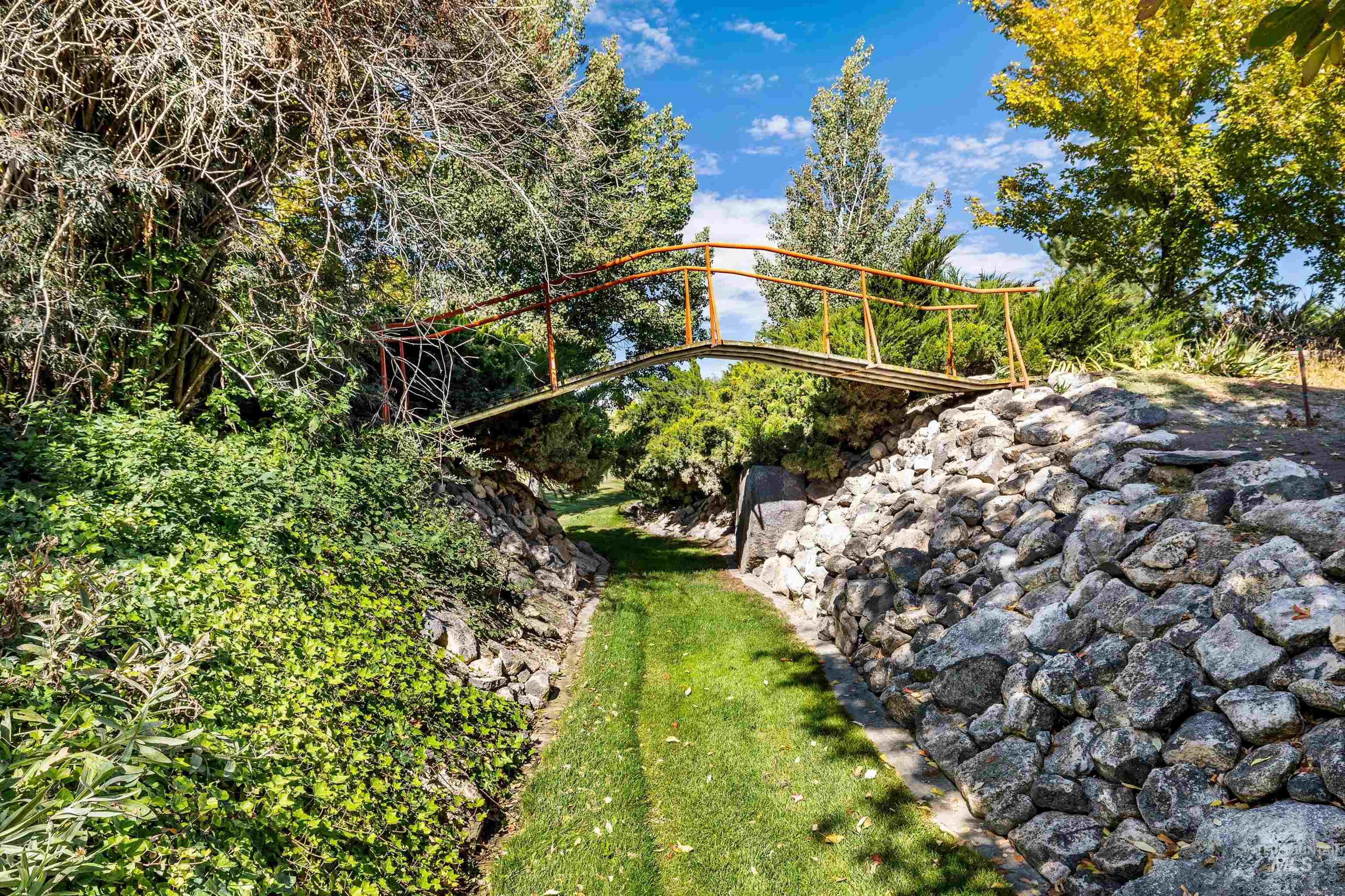 View of grassy yard