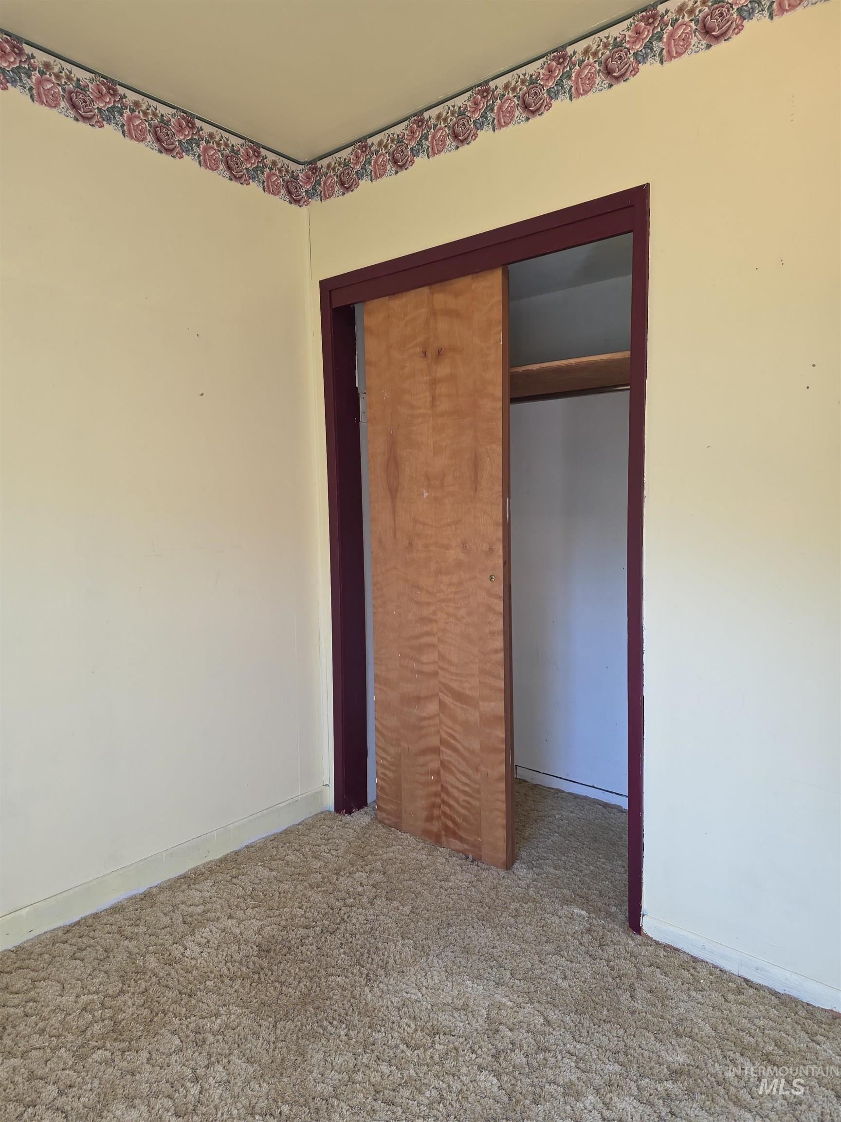Unfurnished bedroom featuring carpet floors and a closet