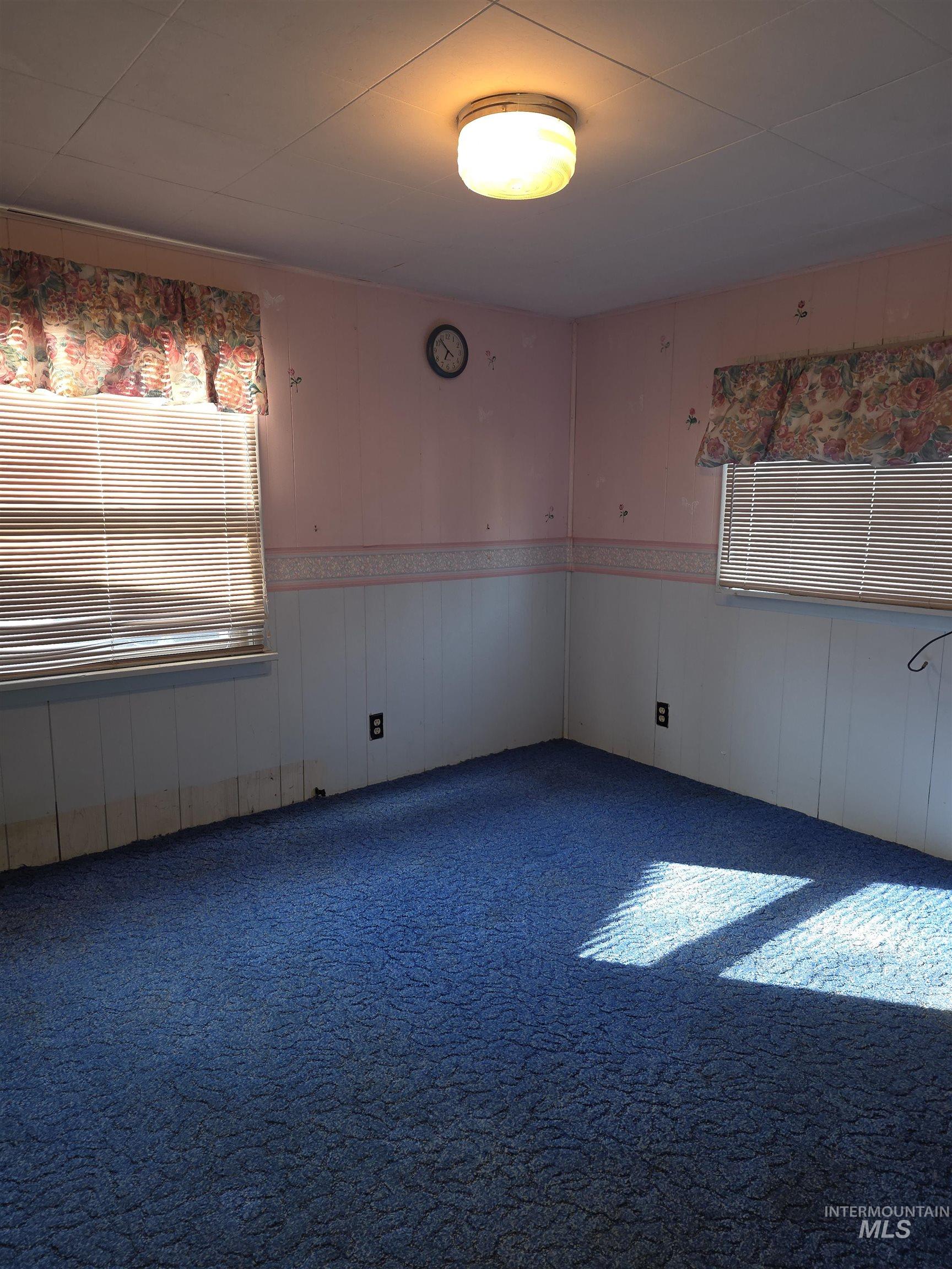 Unfurnished room with carpet
