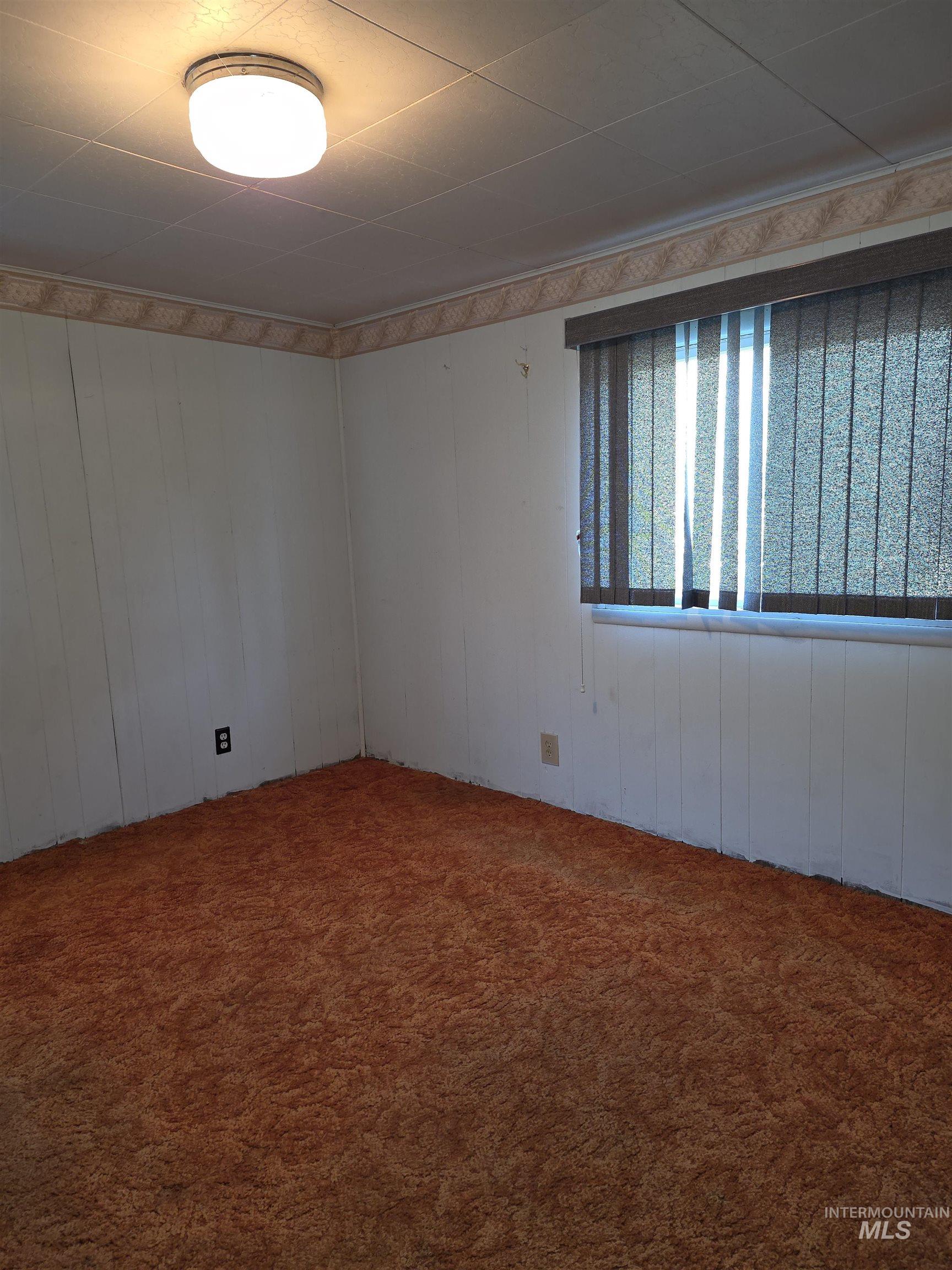 Carpeted empty room featuring wood walls
