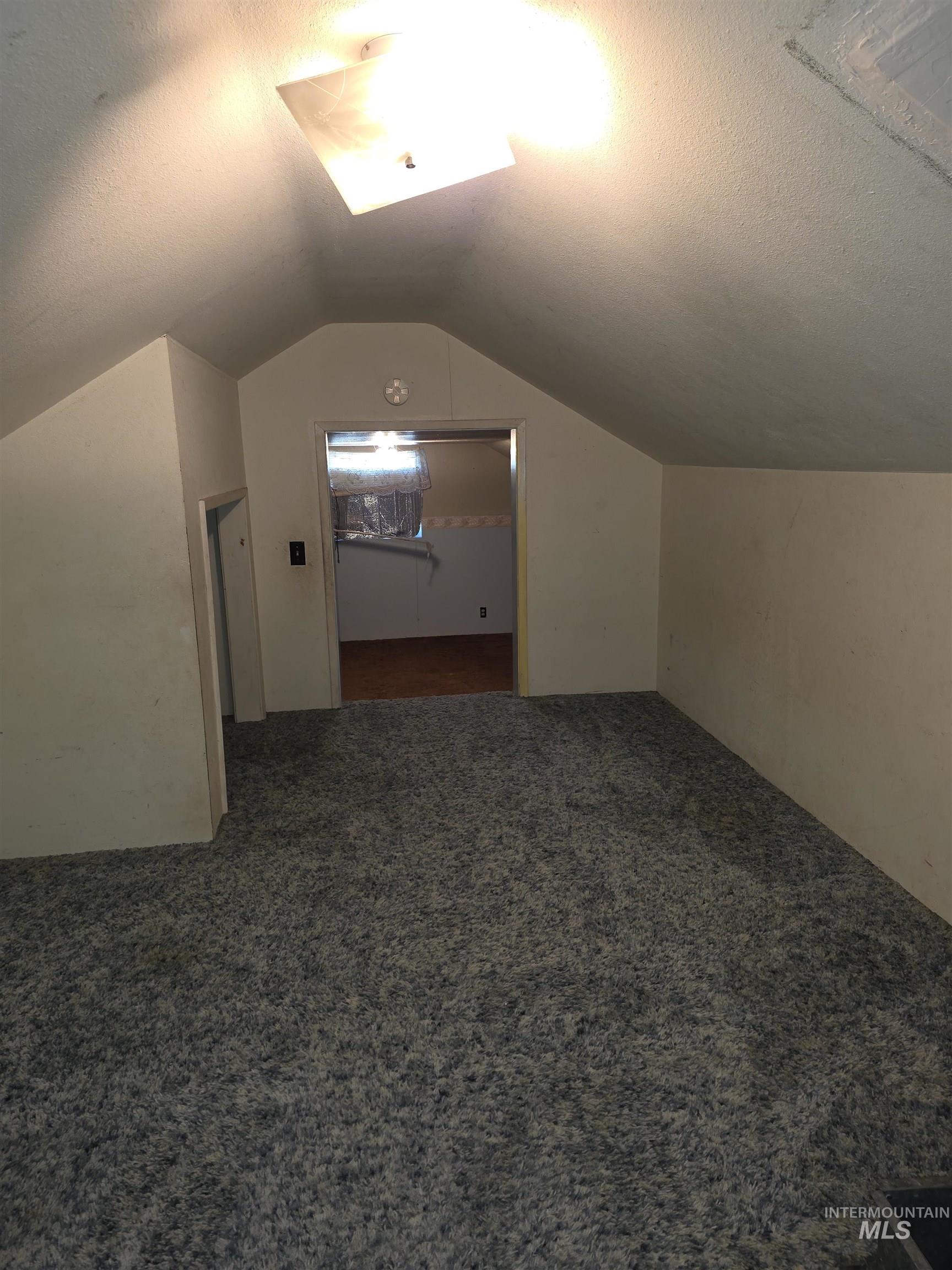 Bonus room featuring a textured ceiling, lofted ceiling, and carpet