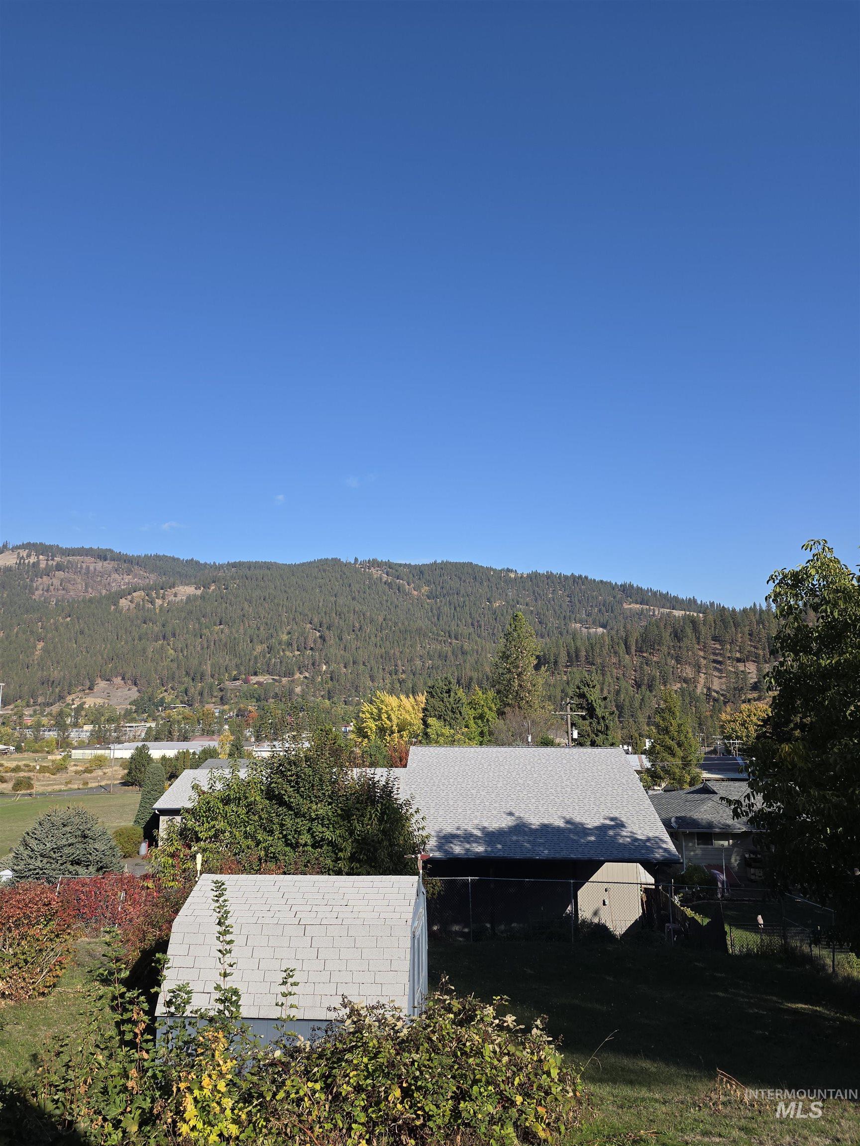 Mountain view with a forest