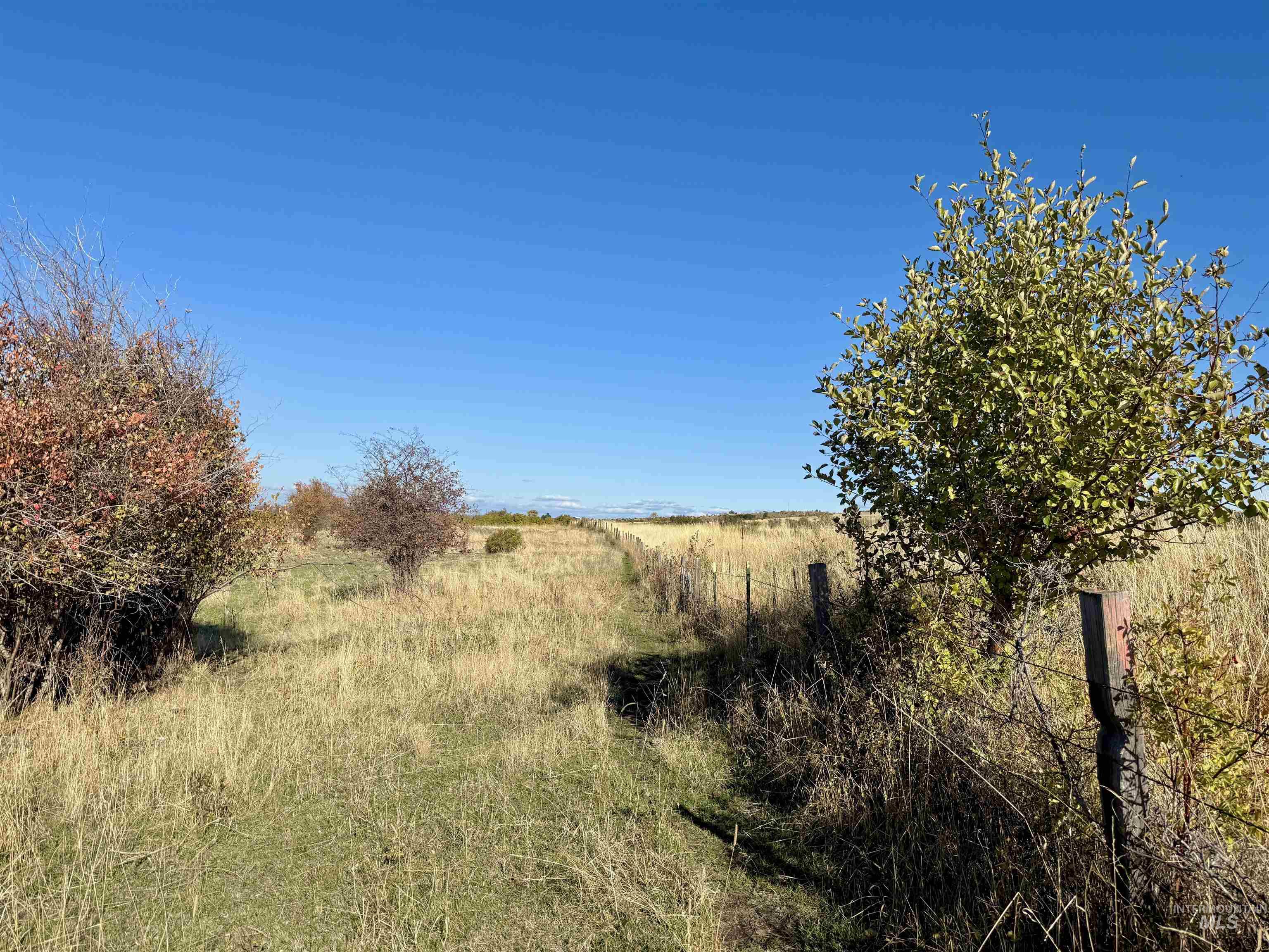 View of local wilderness featuring rural landscape