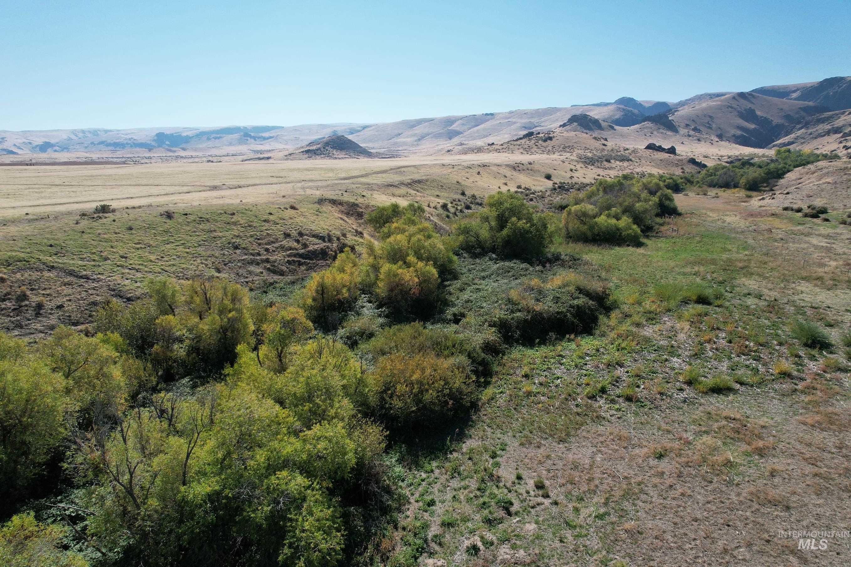 TBD Poison Creek Road, Marsing, Idaho 83639-9998, Land For Sale, Price $960,000, 98965066