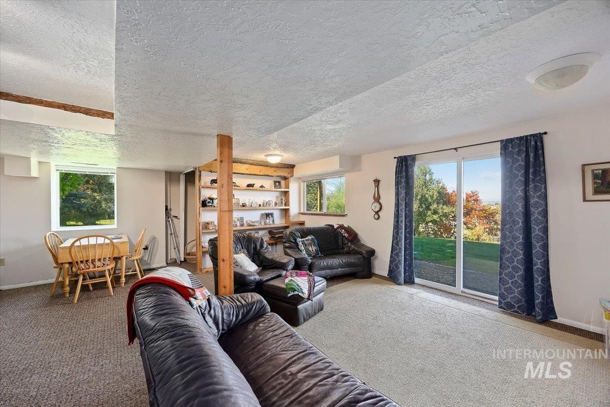 Carpeted family room with plenty of natural light.