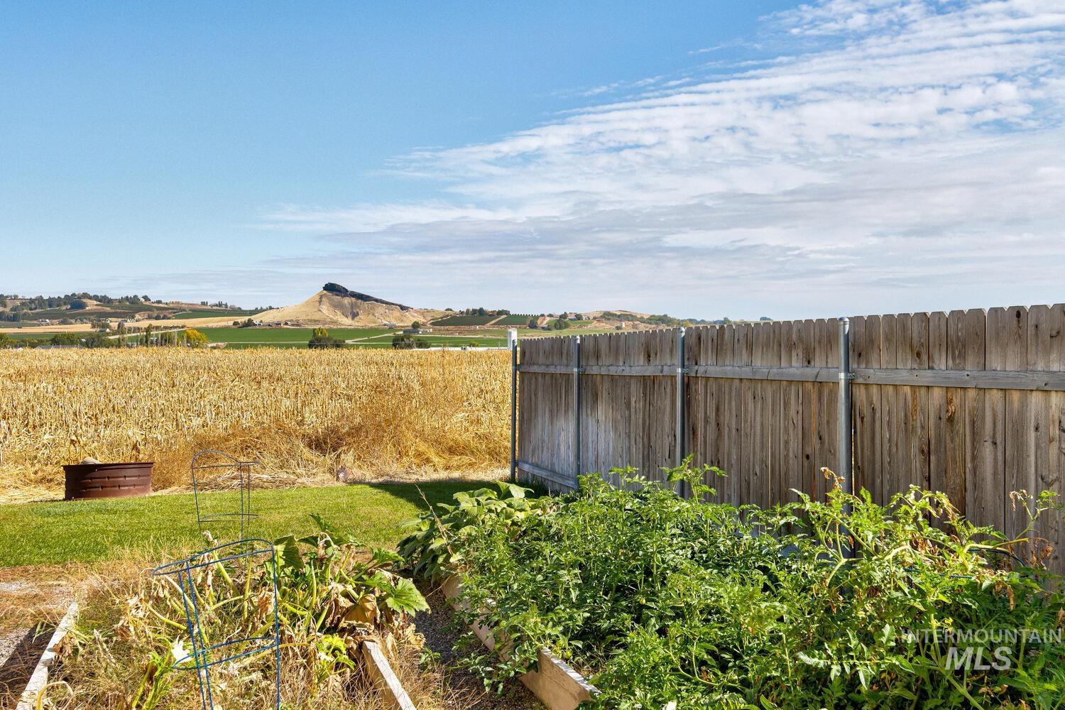 View of yard with a garden, a view of rural / pastoral area, and a mountain view