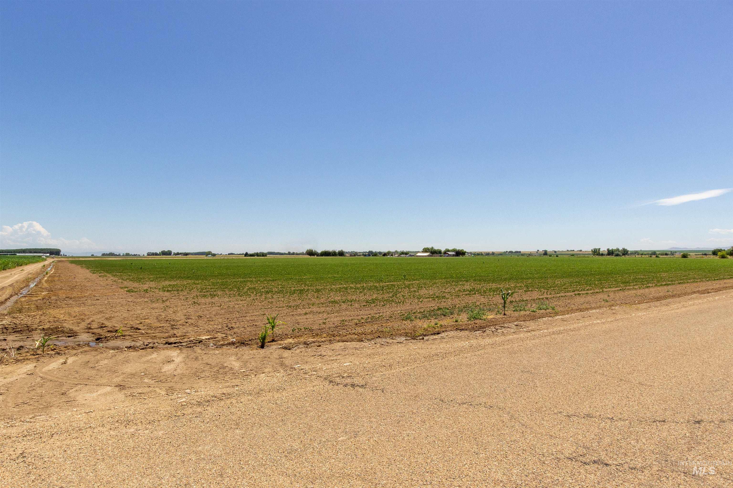 View of local wilderness with rural landscape