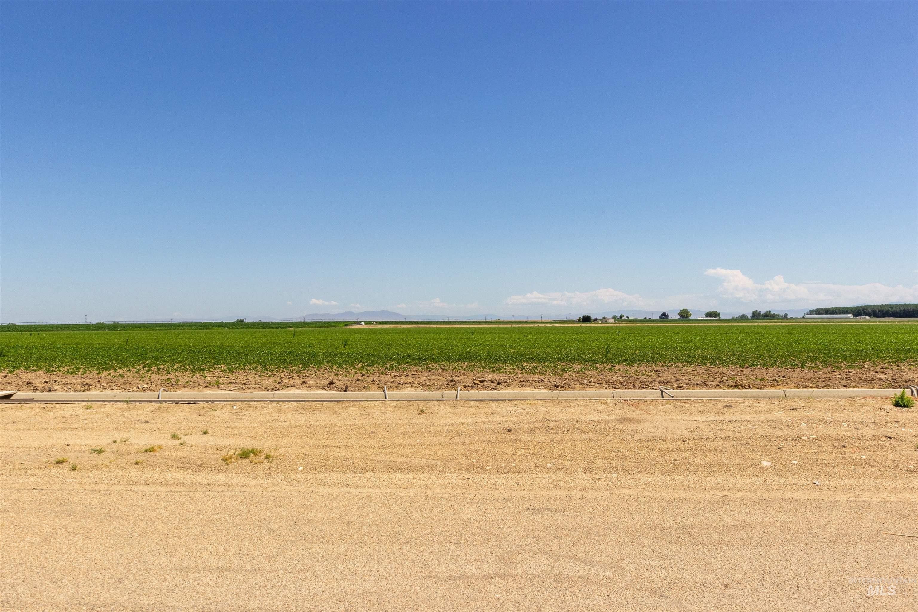 View of nature featuring rows of crops and rural landscape