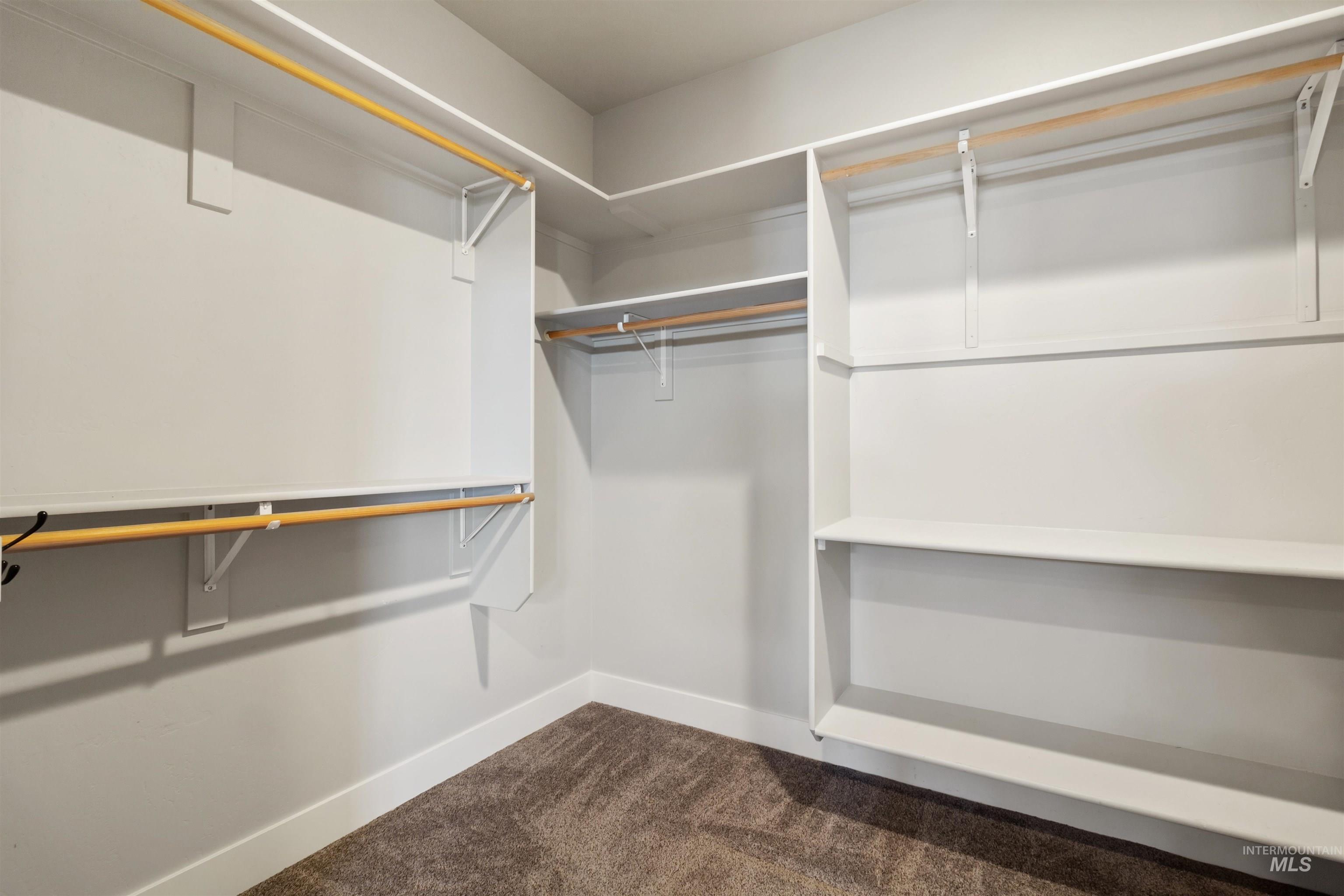 Spacious closet with dark colored carpet
