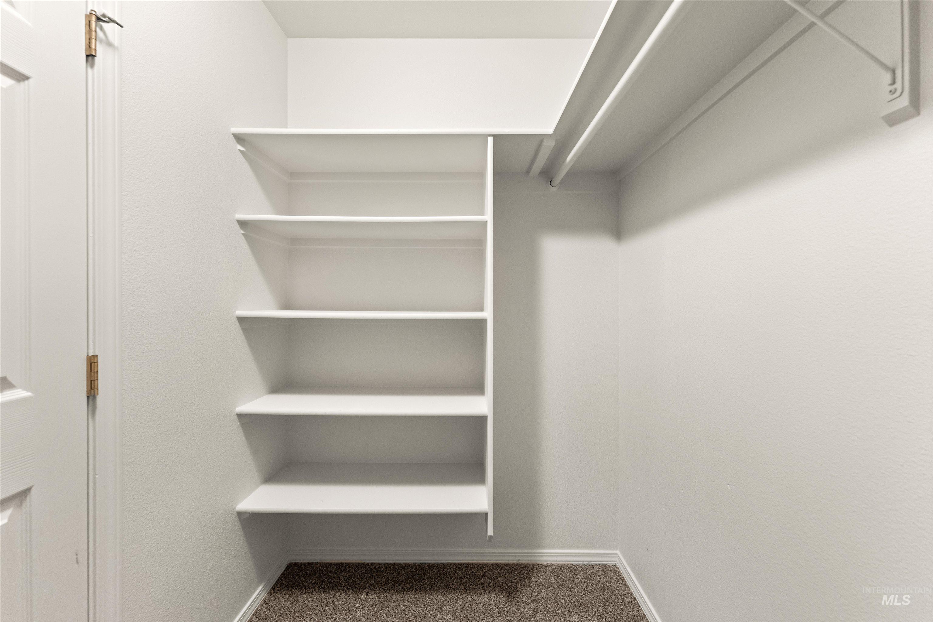 Spacious closet with dark colored carpet