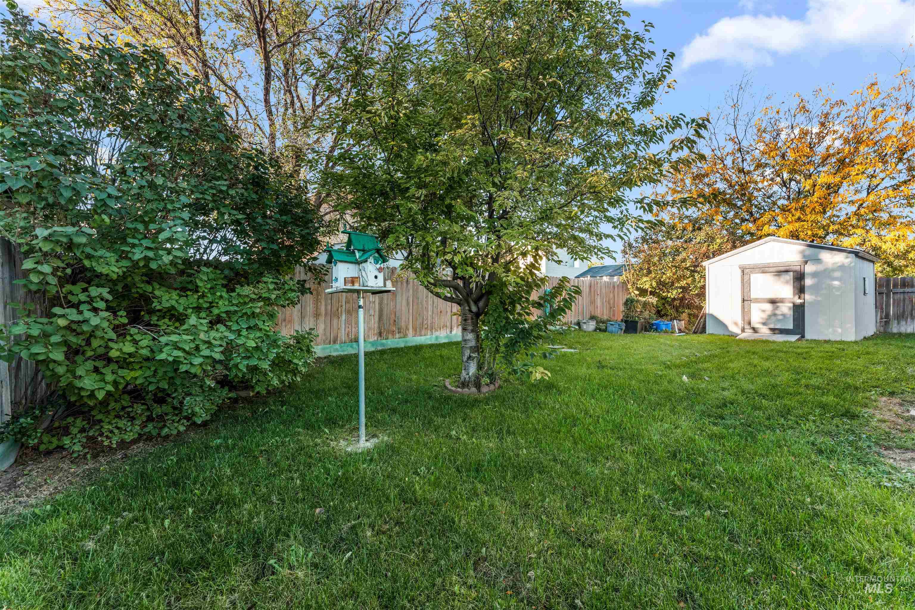 Fenced backyard with a storage unit