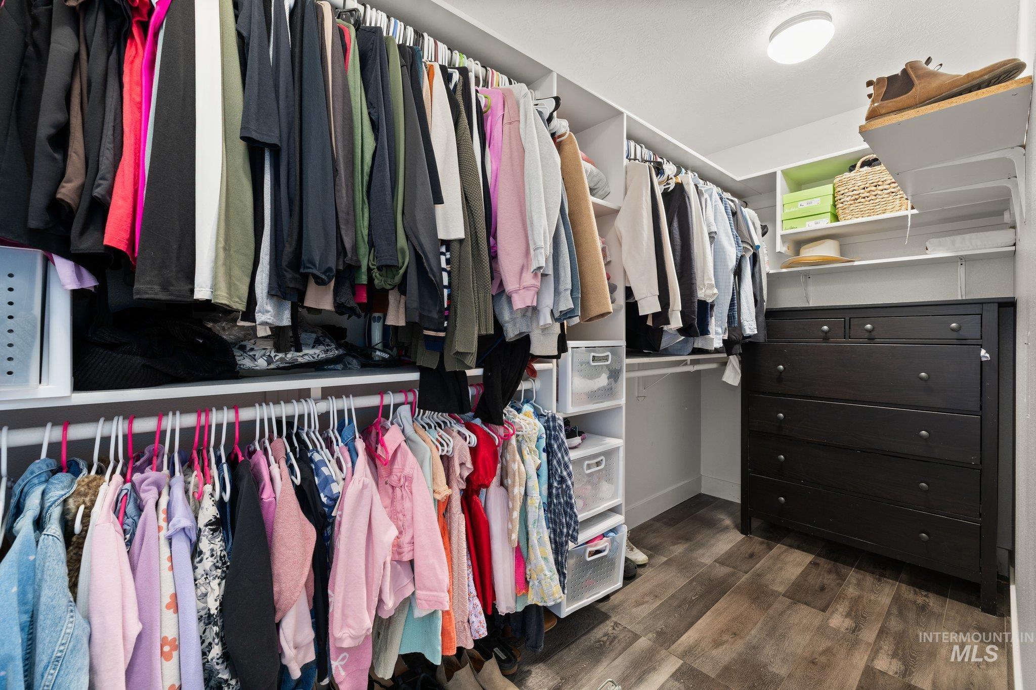 Spacious closet featuring dark wood finished floors