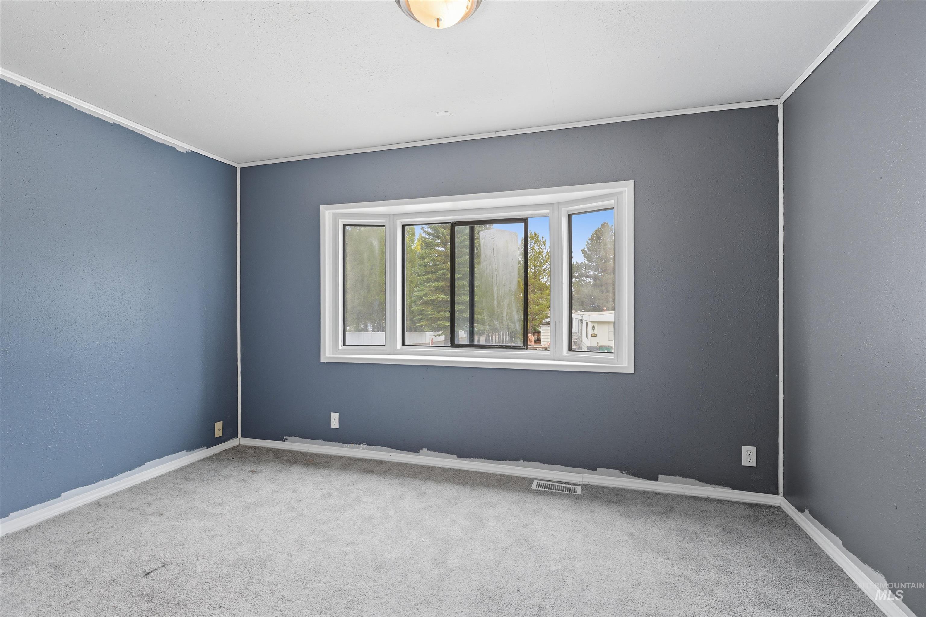Carpeted empty room with baseboards and ornamental molding