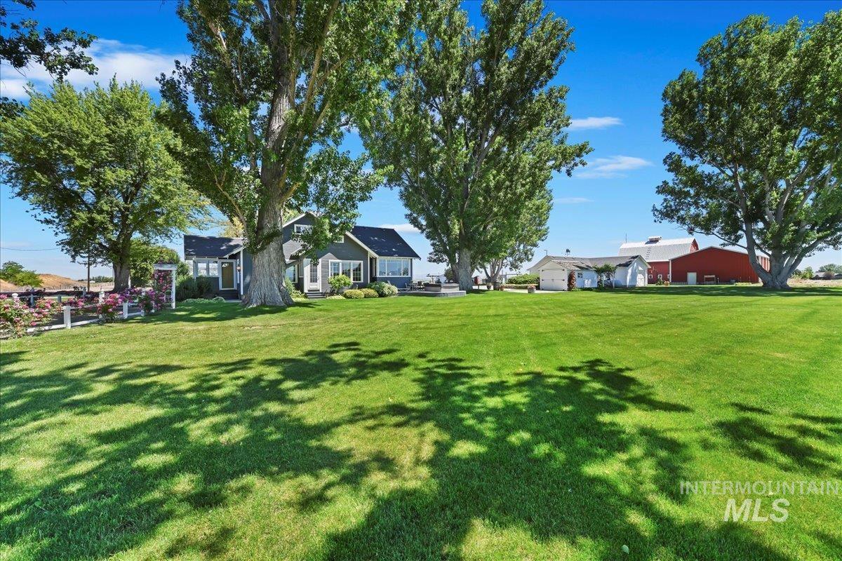 View of green lawn