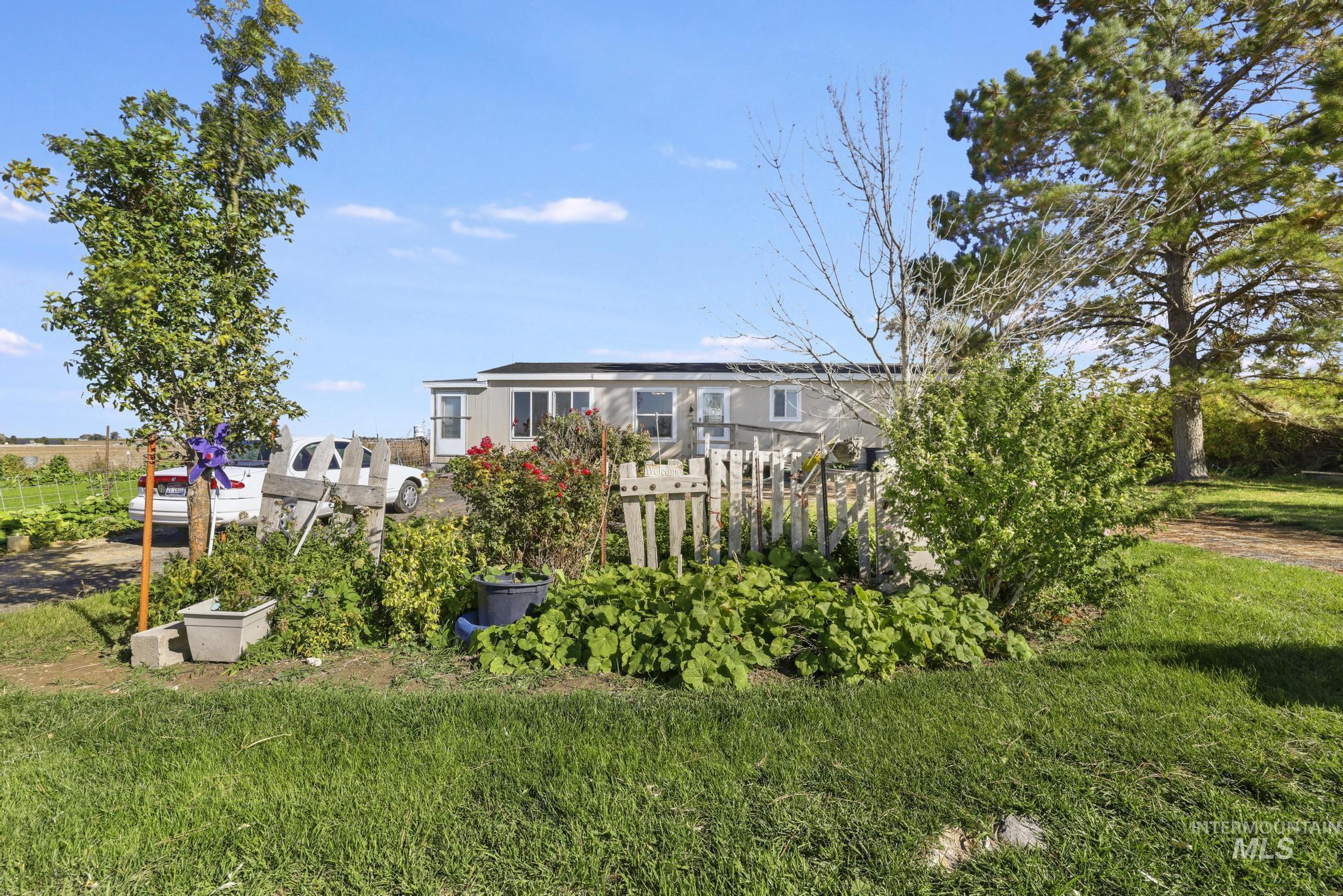 View of grassy yard