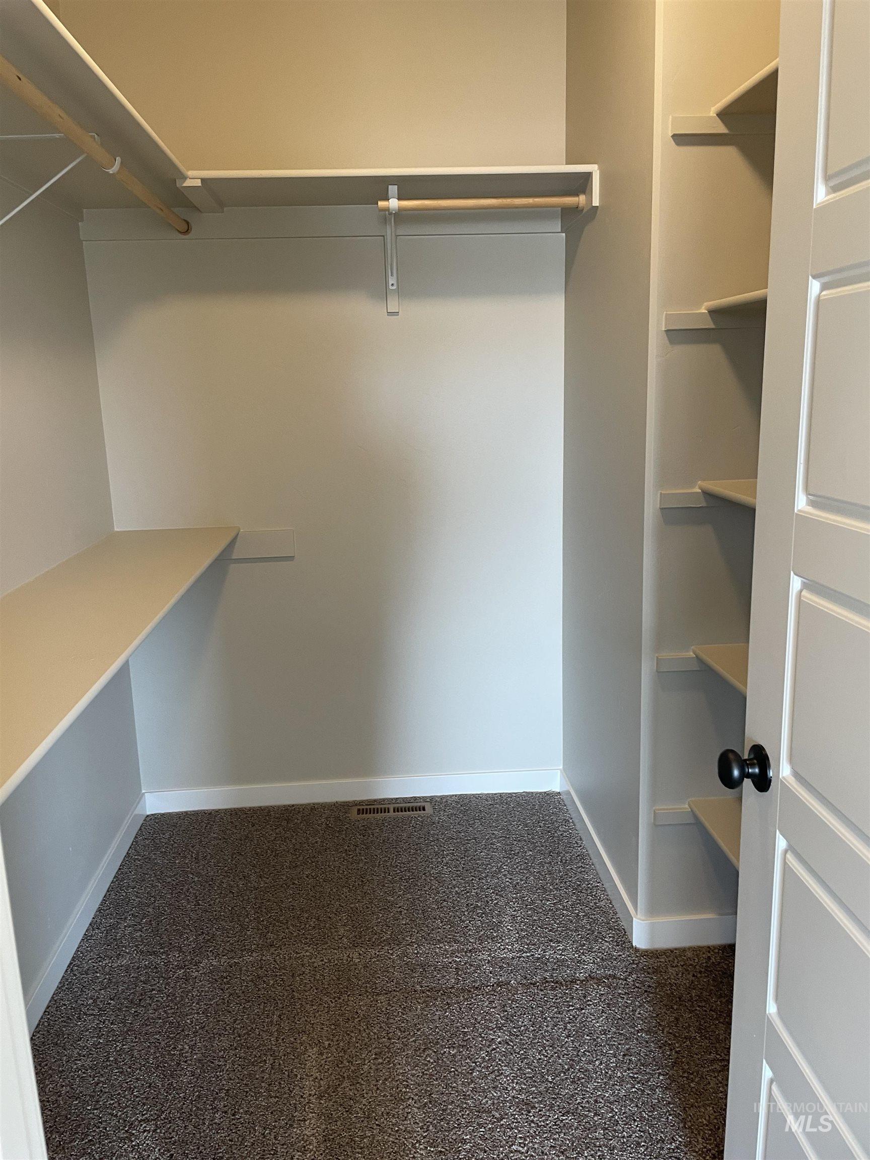 Spacious closet featuring dark carpet
