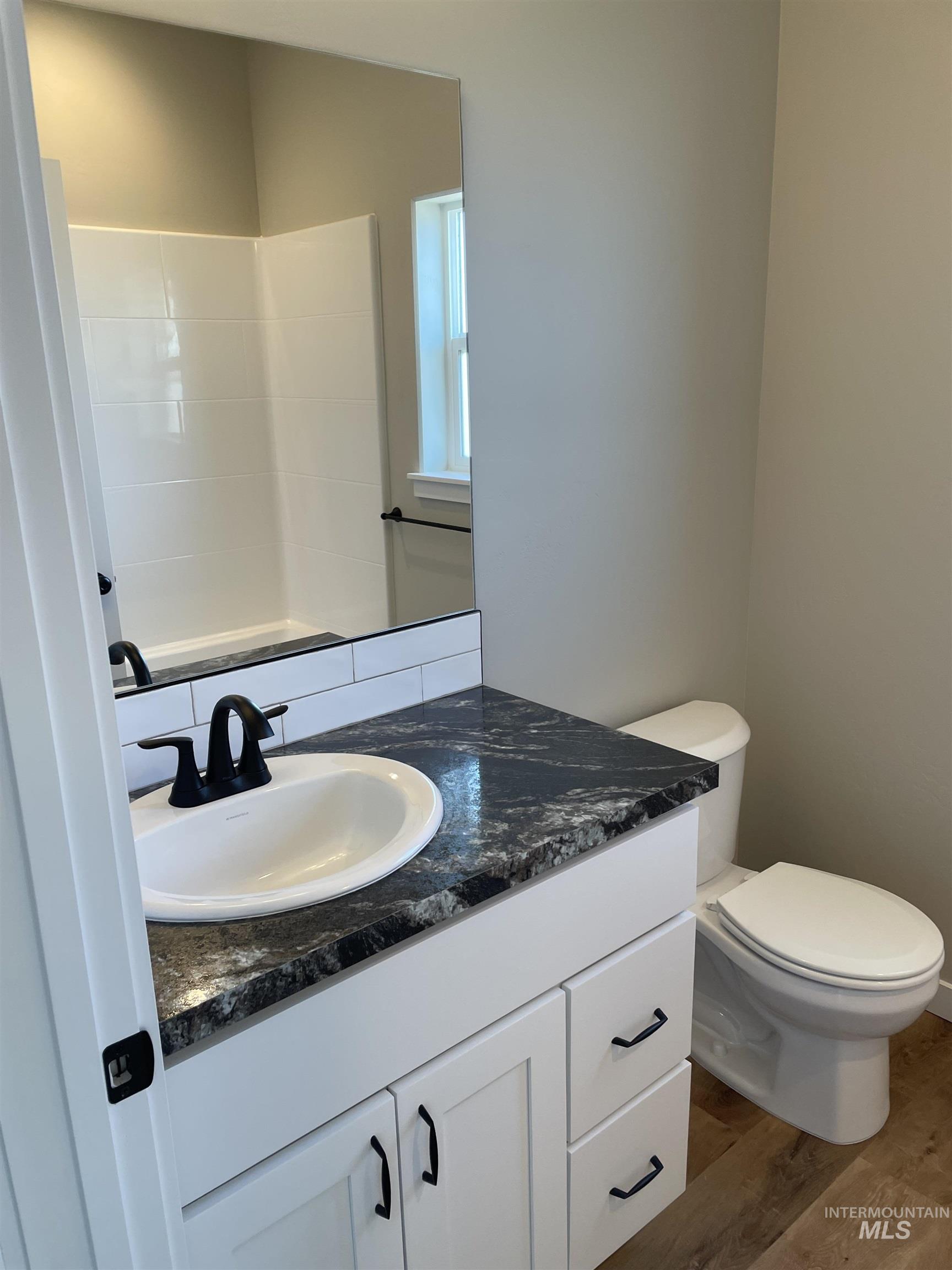Bathroom with dark wood-style floors and vanity