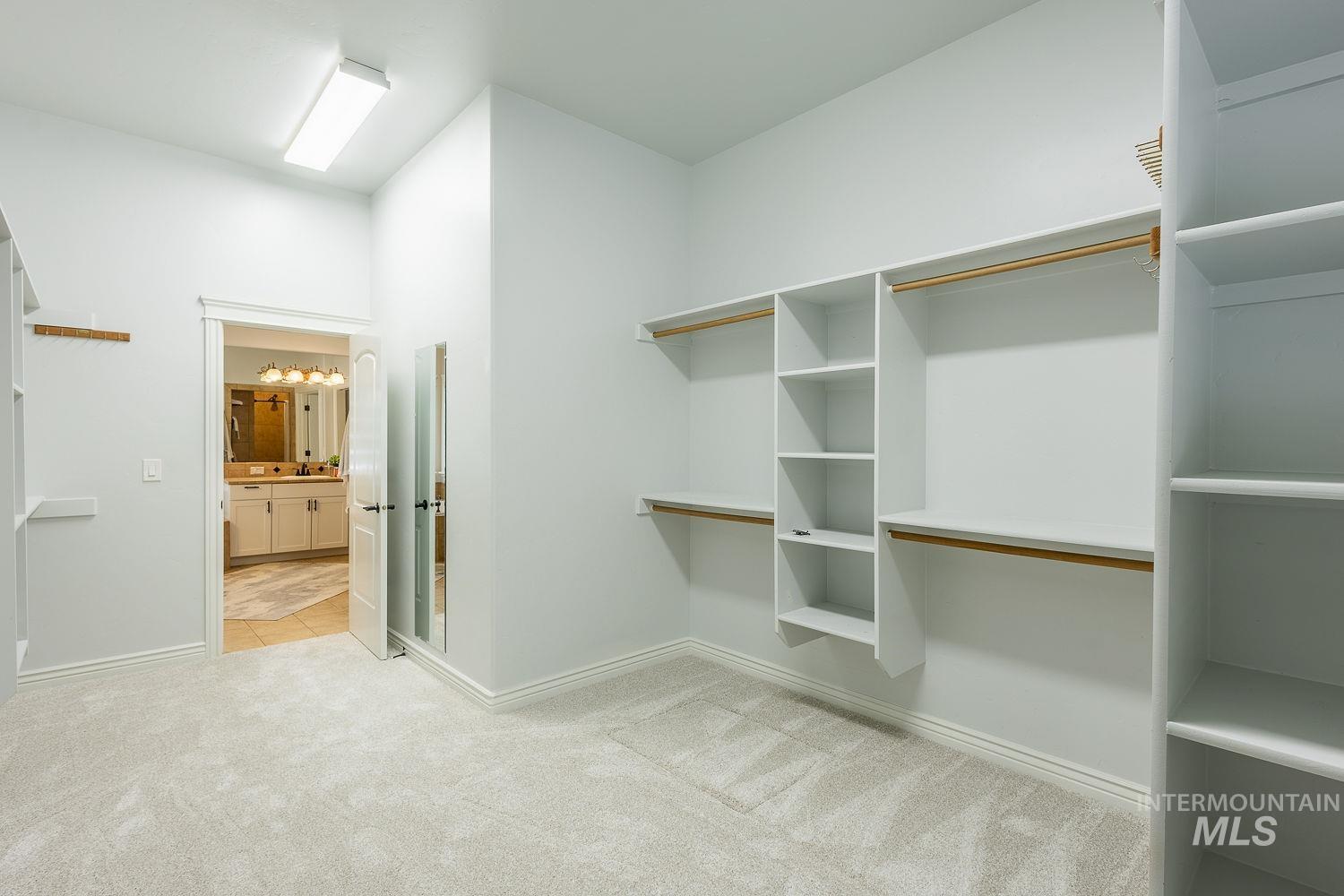 Spacious closet with light colored carpet
